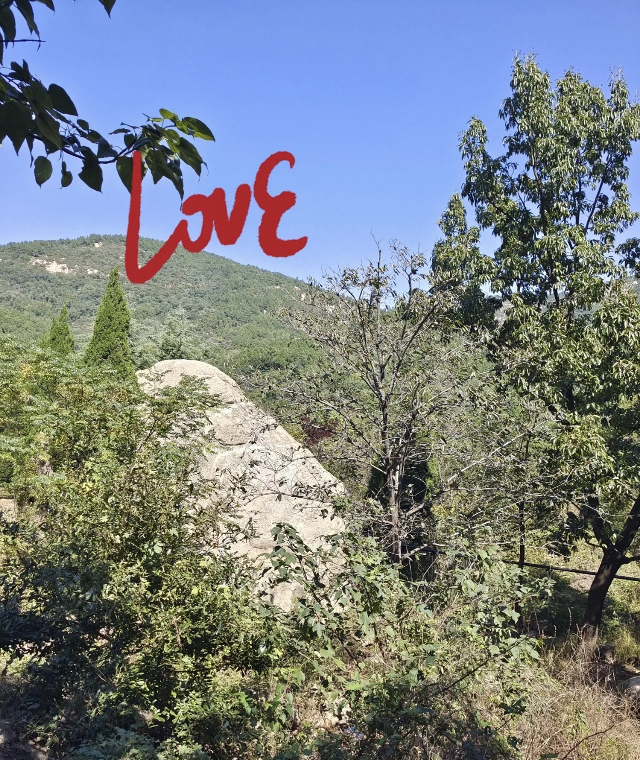 牛山森林公园旅行图片 1