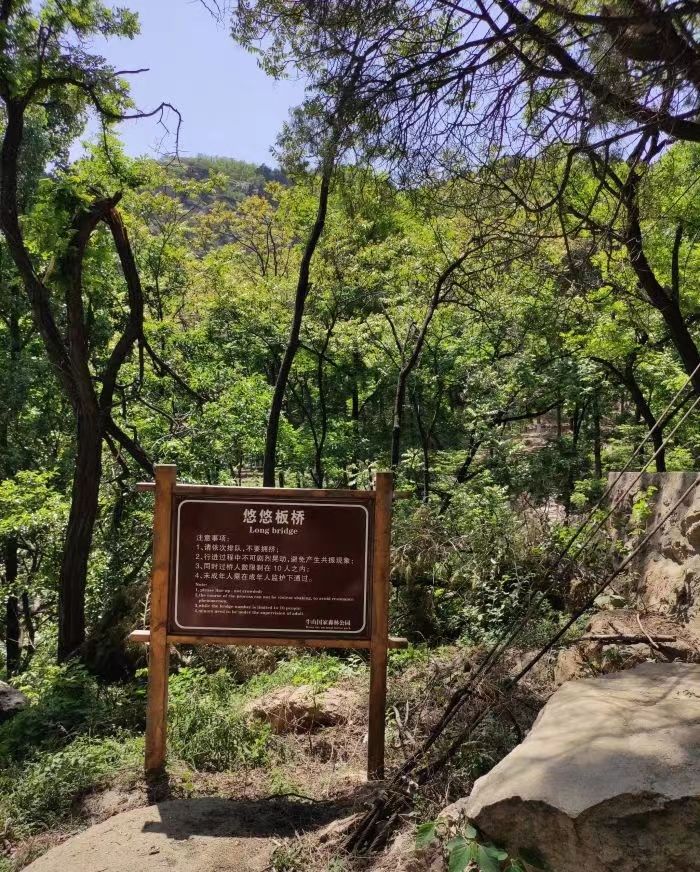 牛山森林公园旅行图片 1