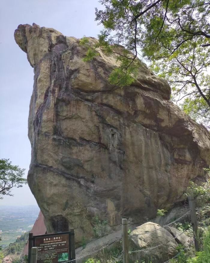 牛山森林公园旅行图片 2