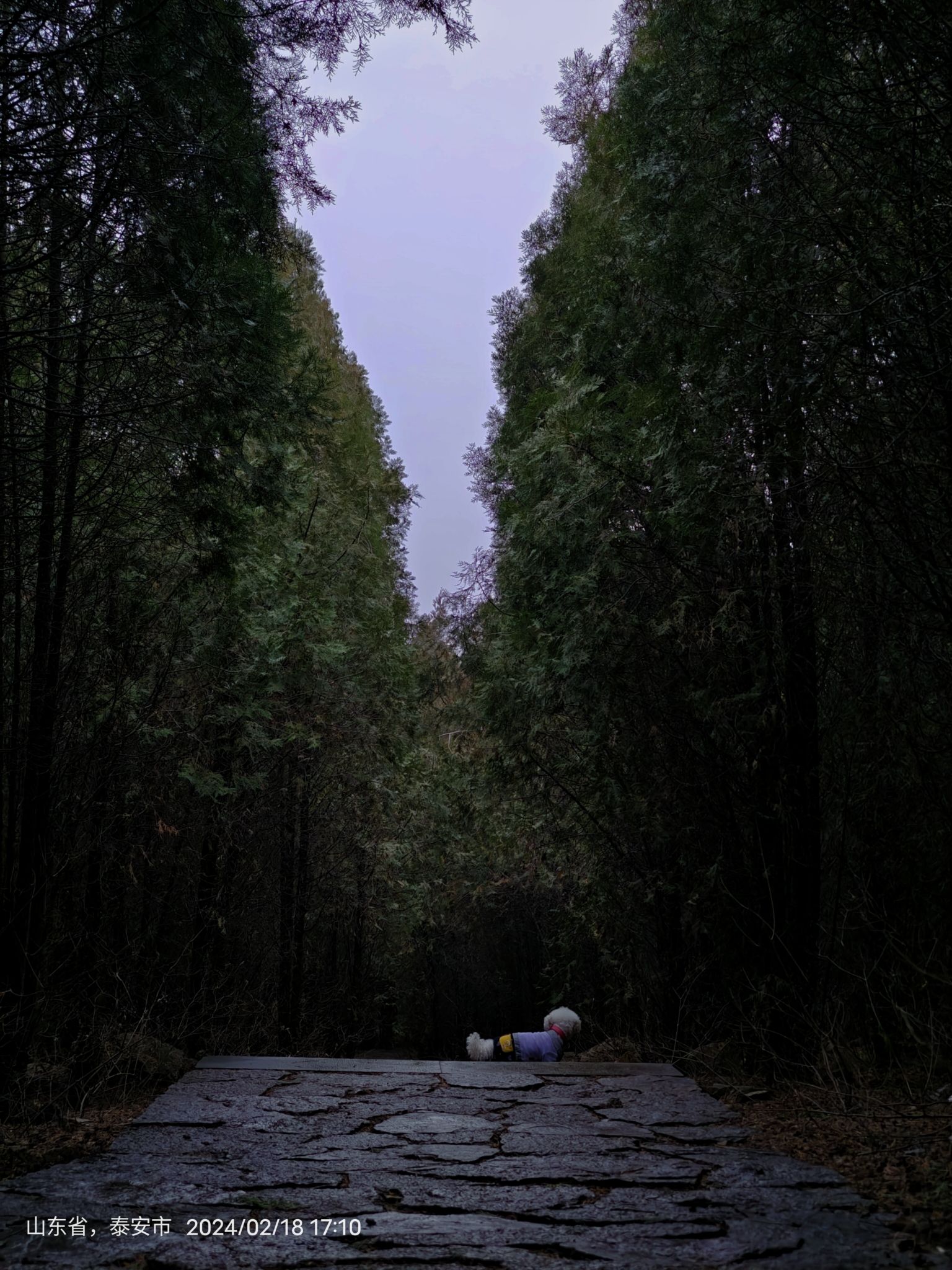 白云山公园旅行图片 1
