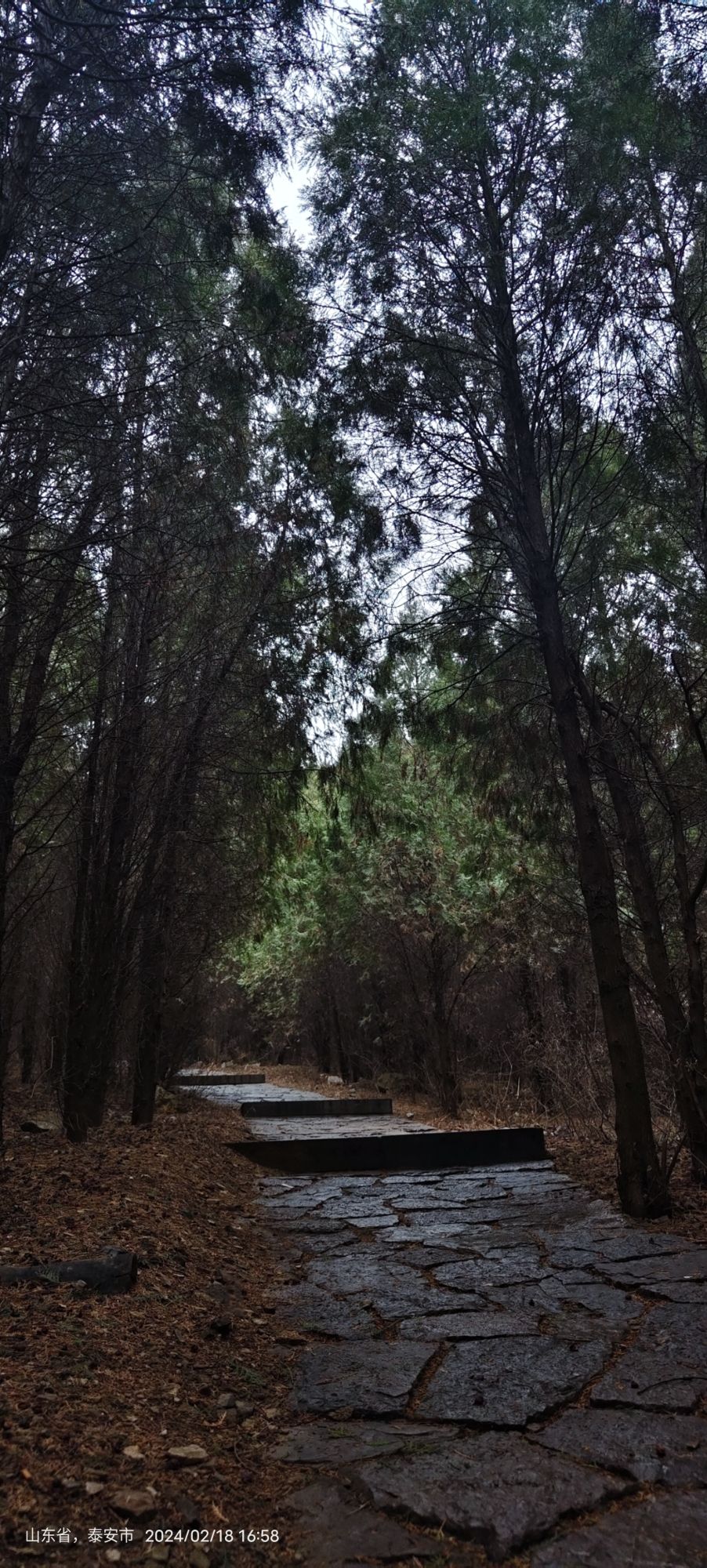 白云山公园旅行图片 3