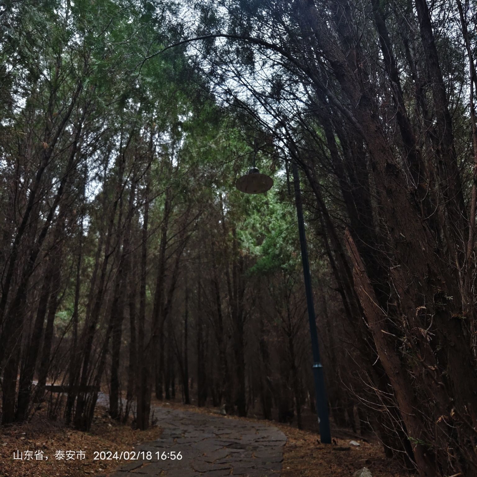 白云山公园旅行图片 2