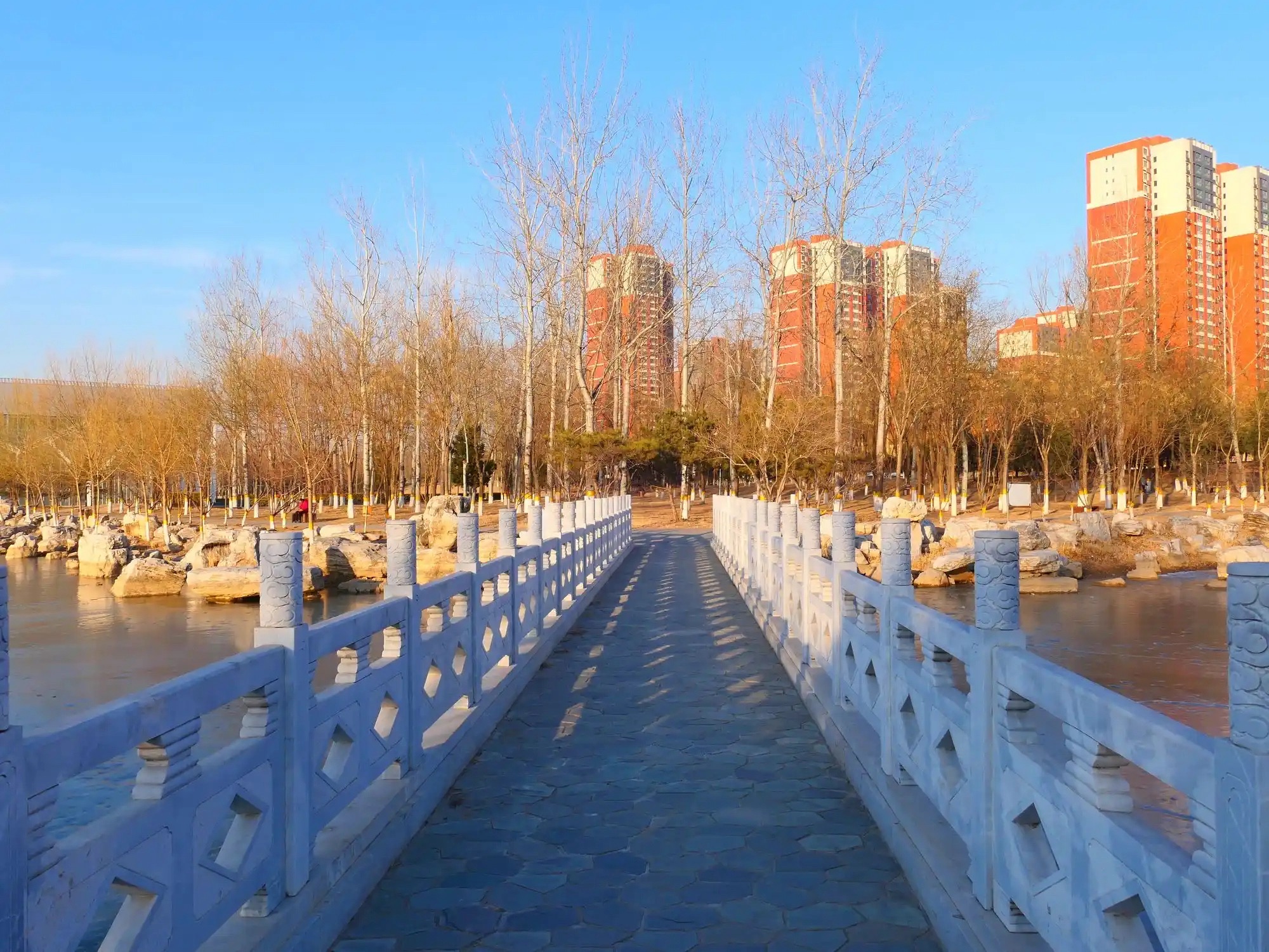 清河公园旅行图片 2