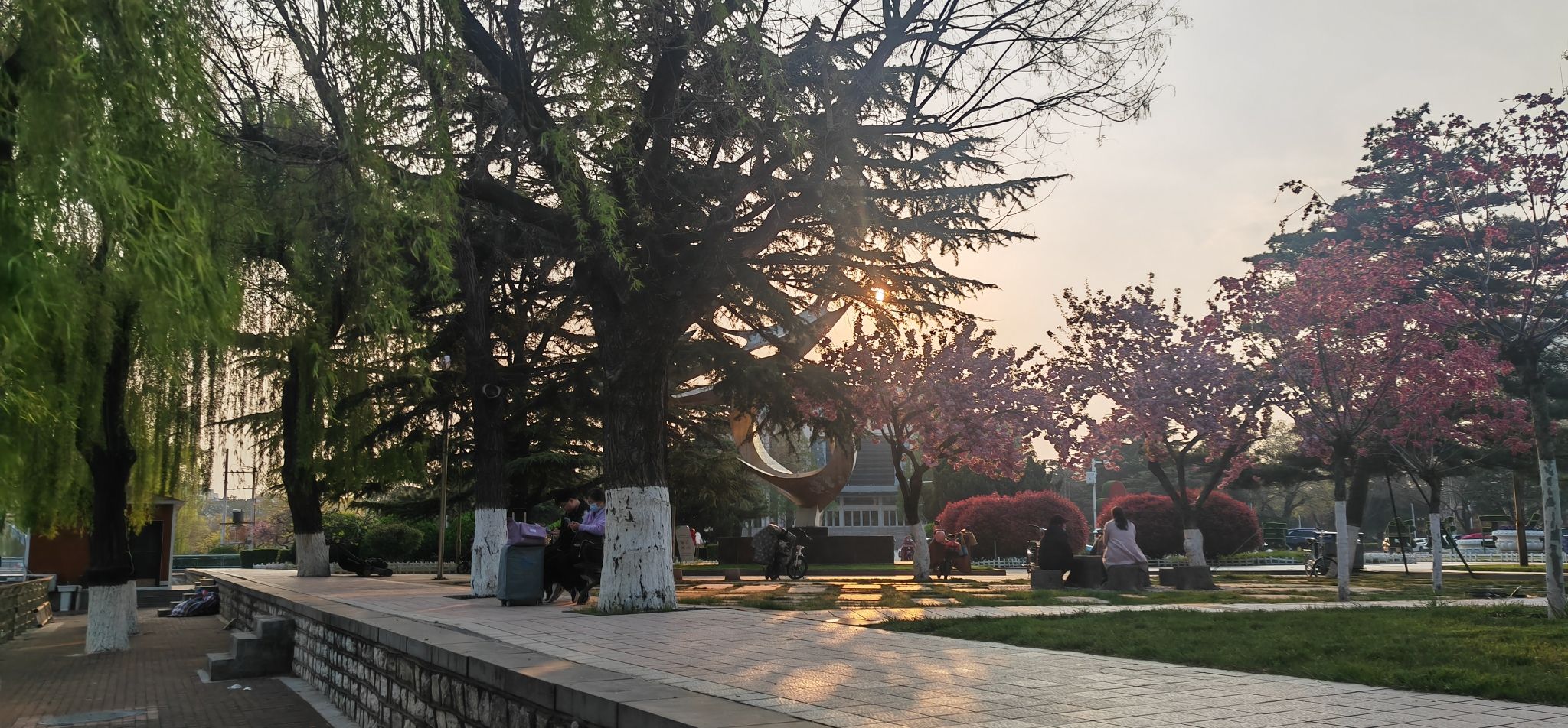 龙山公园旅行图片 3