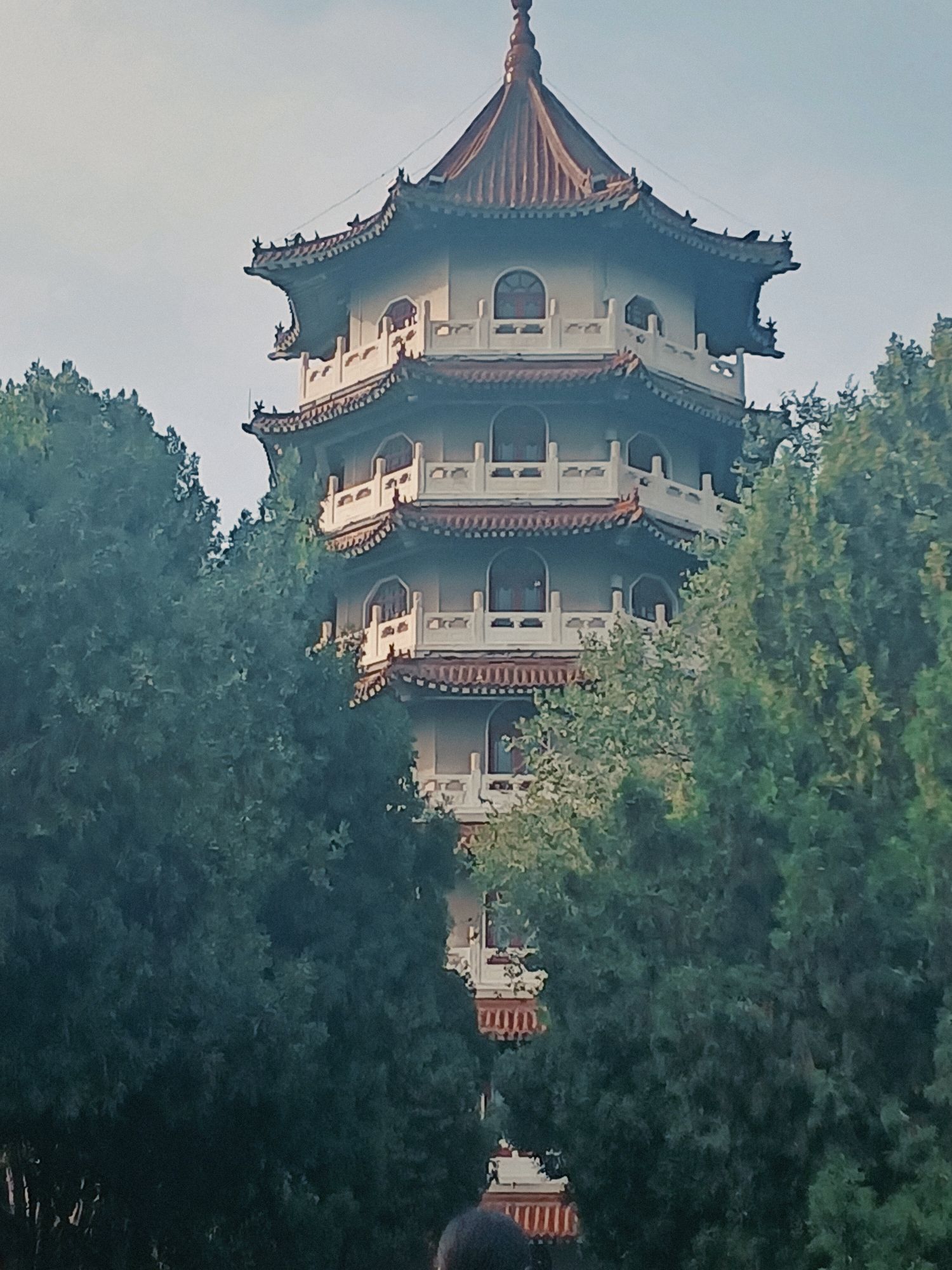 龙山公园旅行图片 2