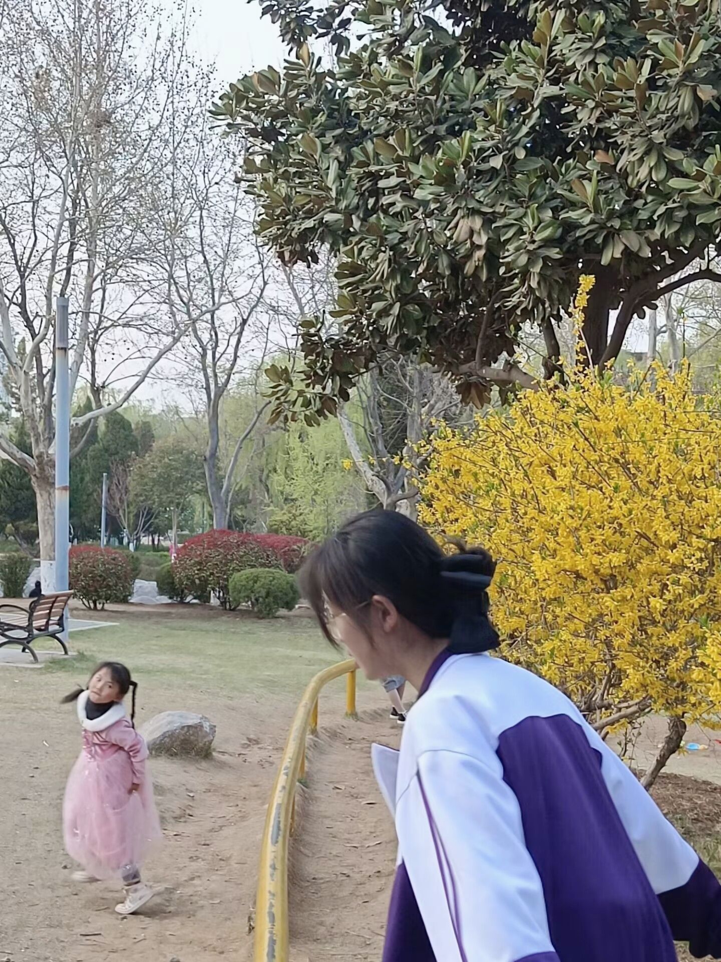 龙山公园旅行图片 3