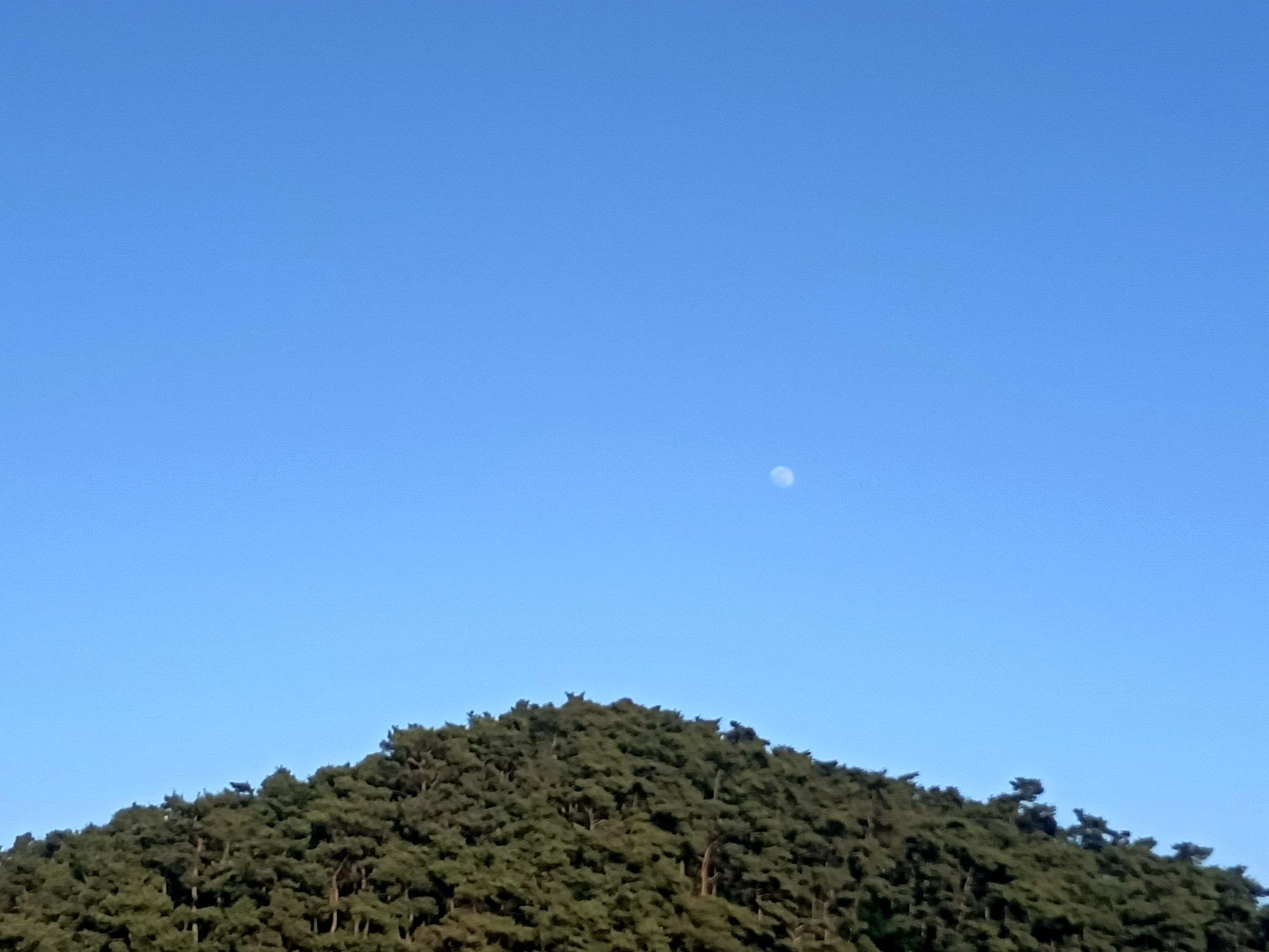 药乡国家森林公园旅行图片 1