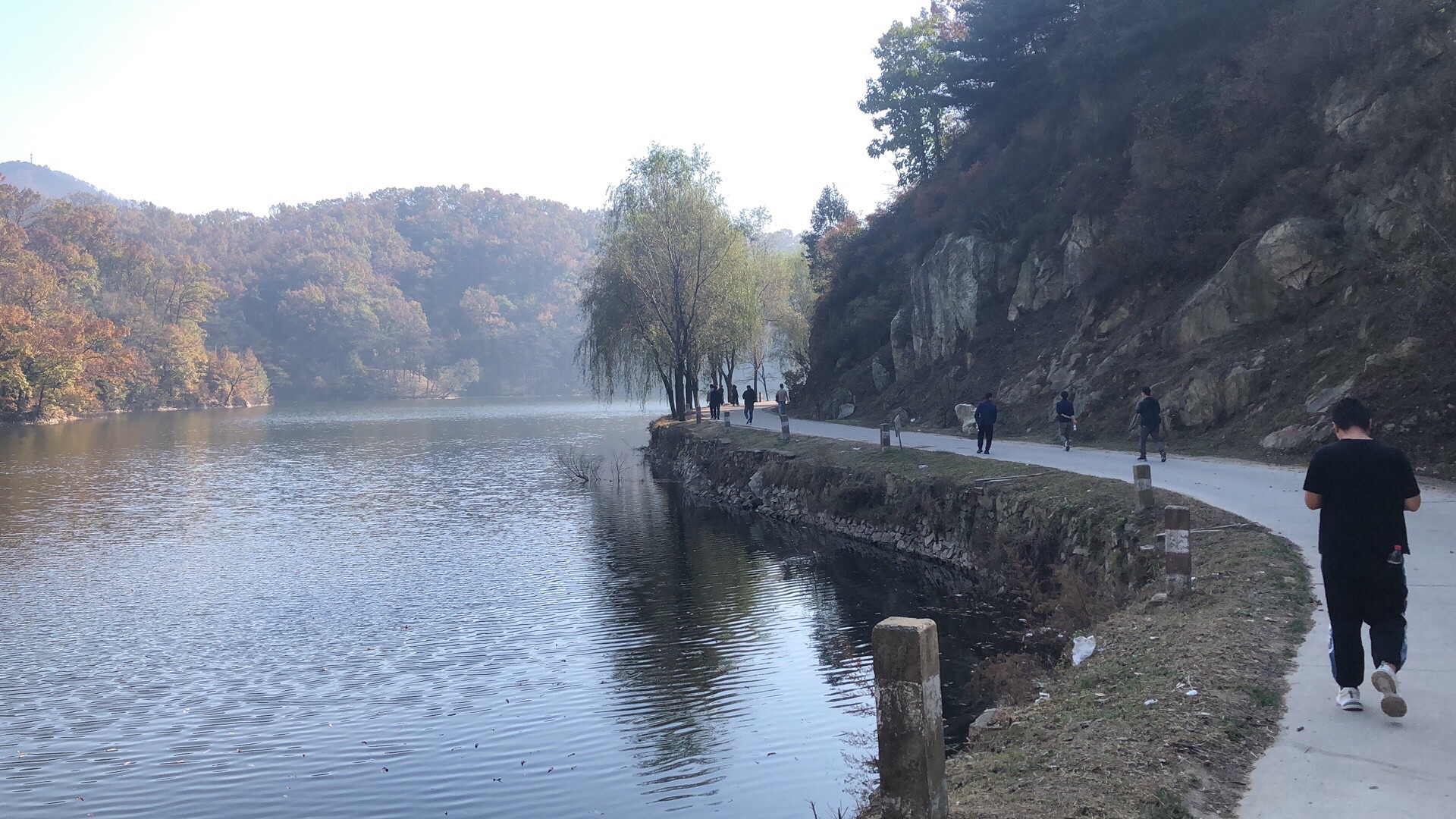 药乡国家森林公园旅行图片 1