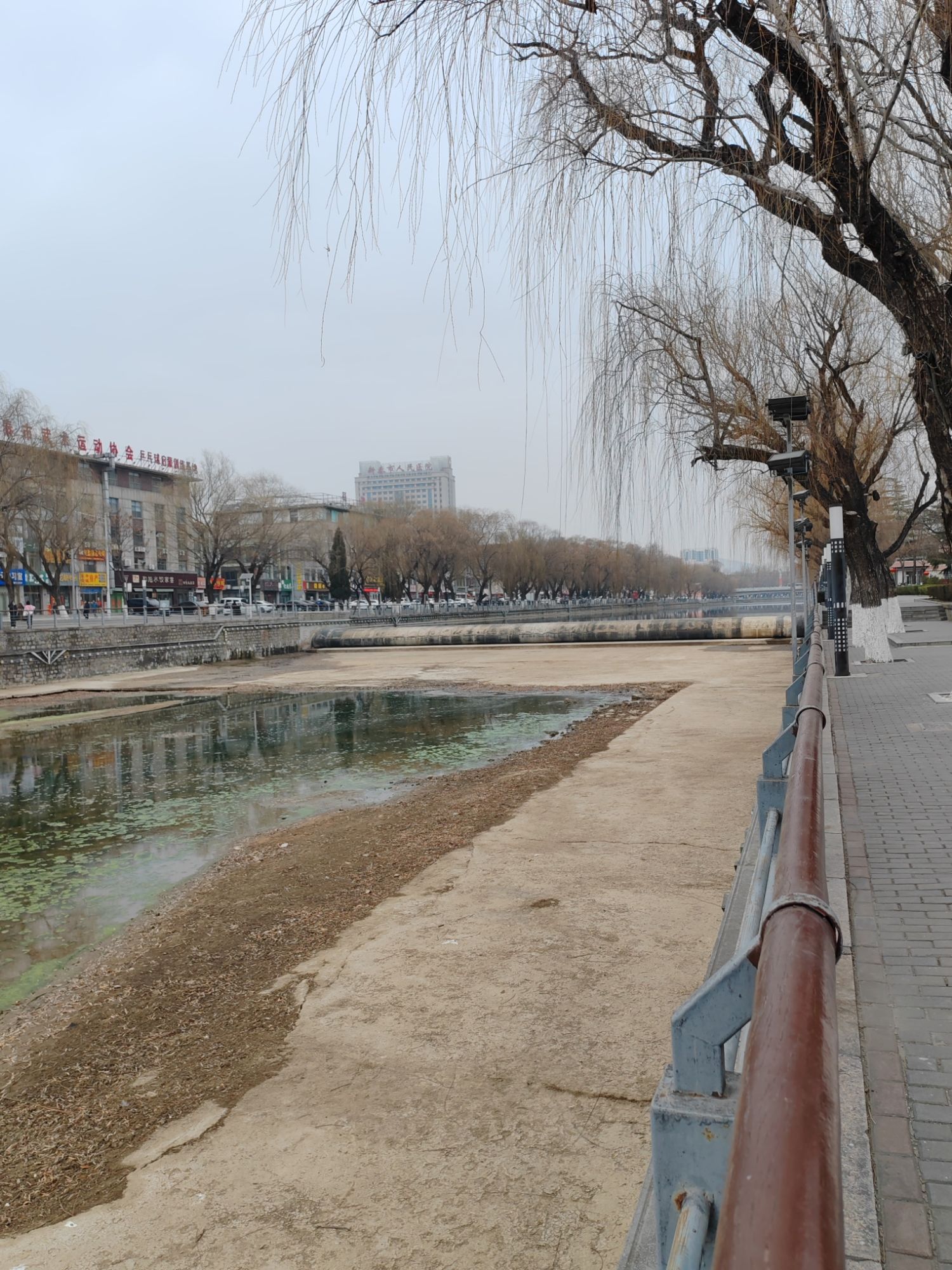 平阳河公园旅行图片 2