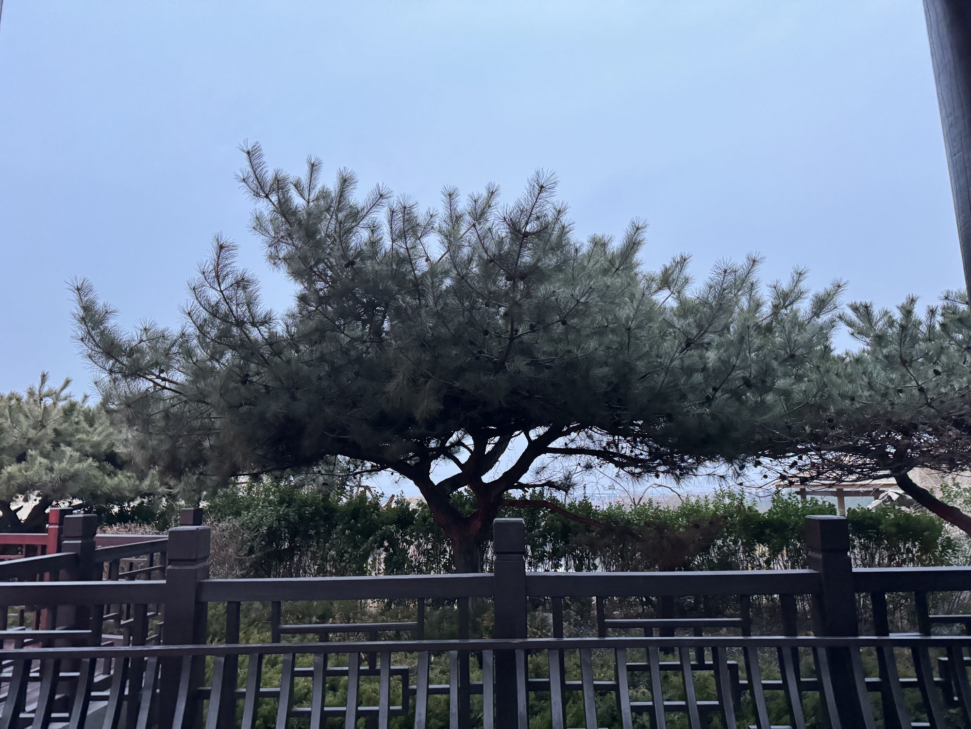 徂徕山森林温泉康养中心旅行图片 3