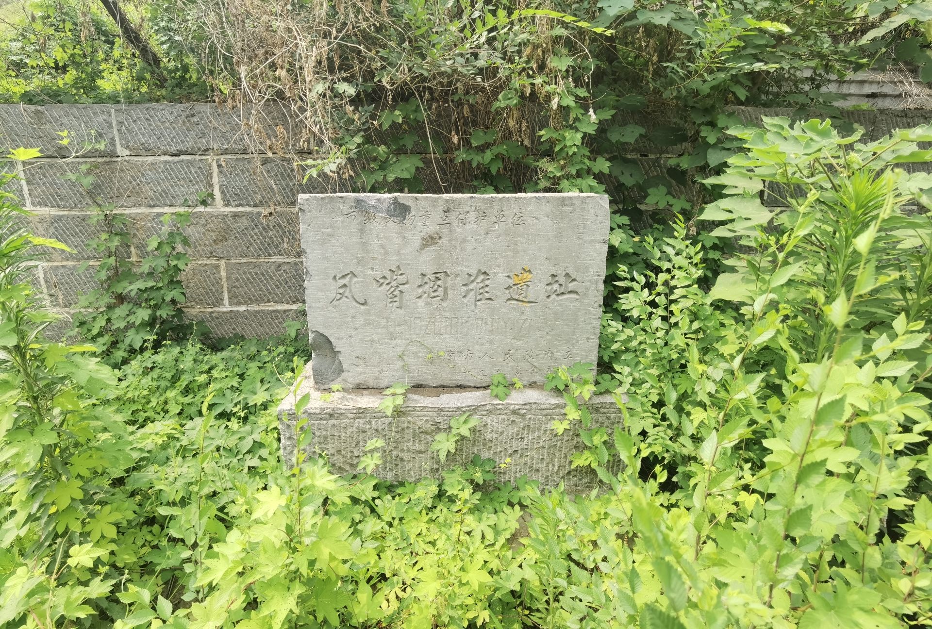 黄巢点将台旅行图片 3