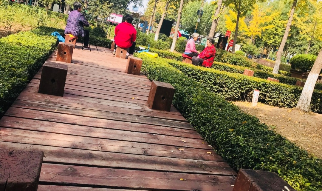 新泰市体育公园旅行图片 3