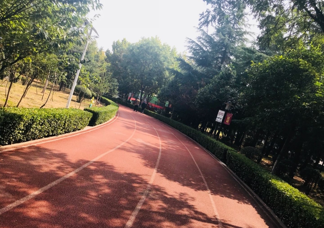新泰市体育公园旅行图片 2