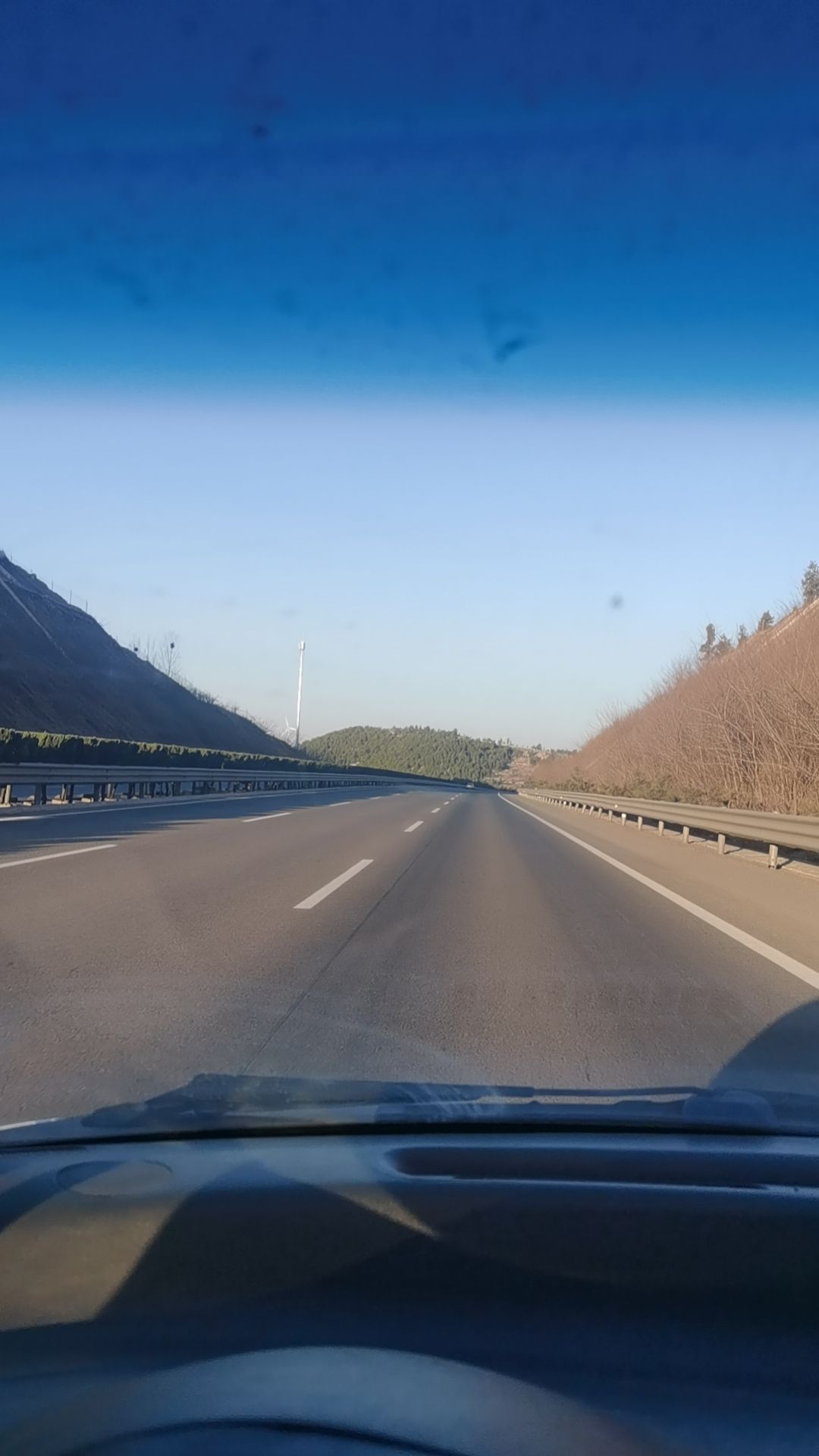 丘明湿地公园旅行图片