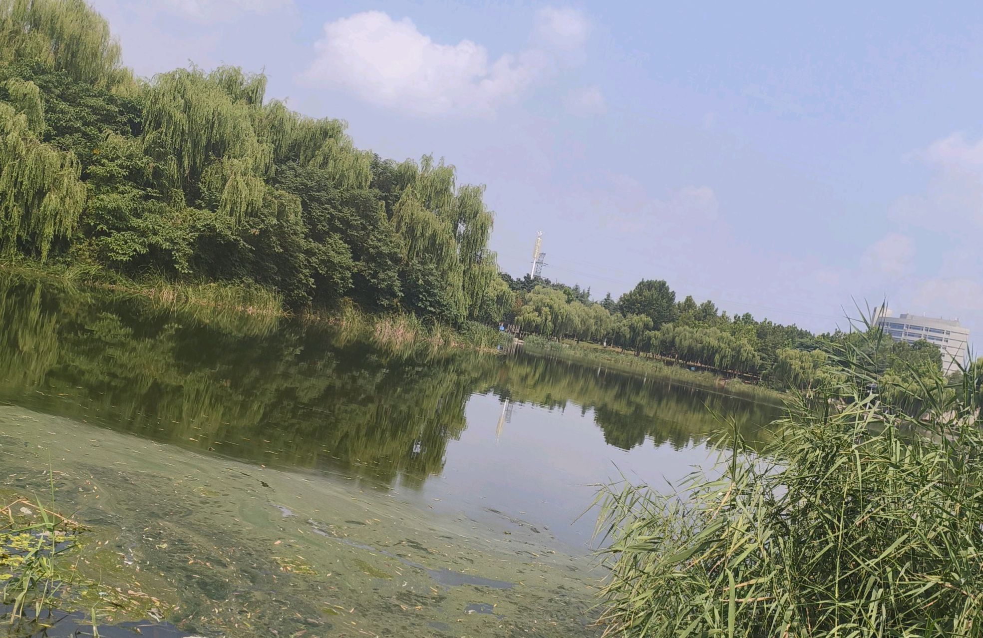 丘明湿地公园旅行图片 3