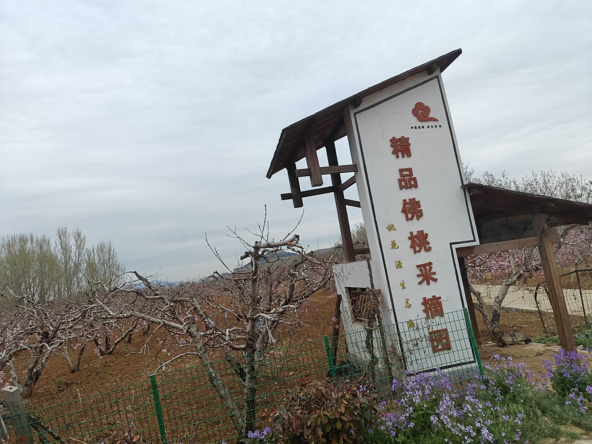 刘台桃花源景区旅行图片 2