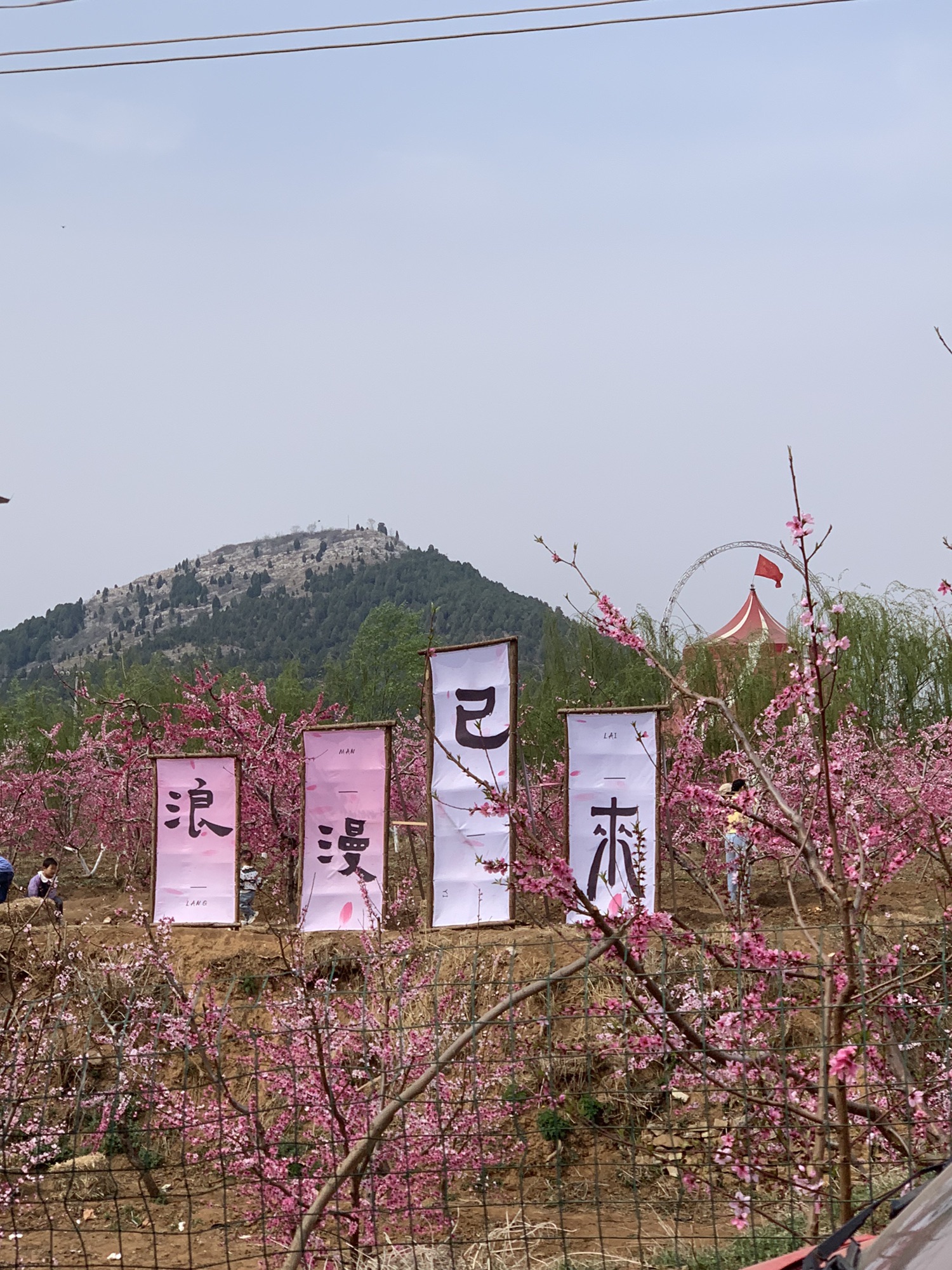 刘台桃花源景区旅行图片 2