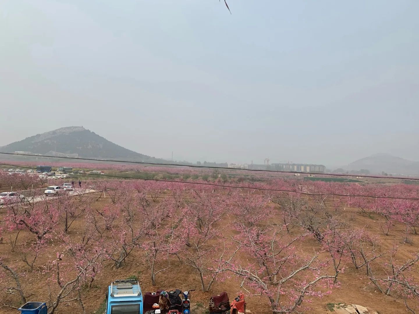 刘台桃花源景区旅行图片 1