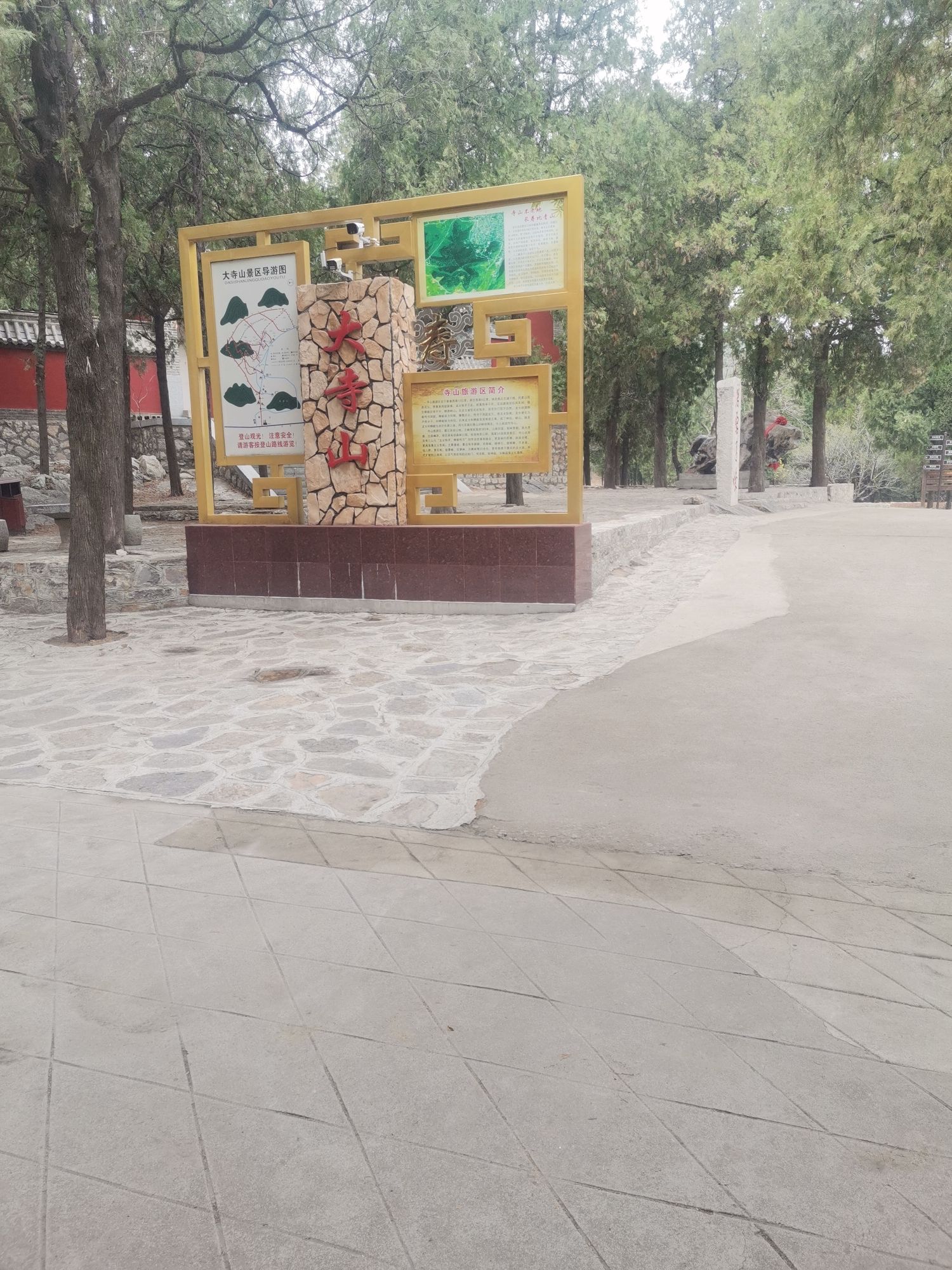新汶森林公园旅行图片 1