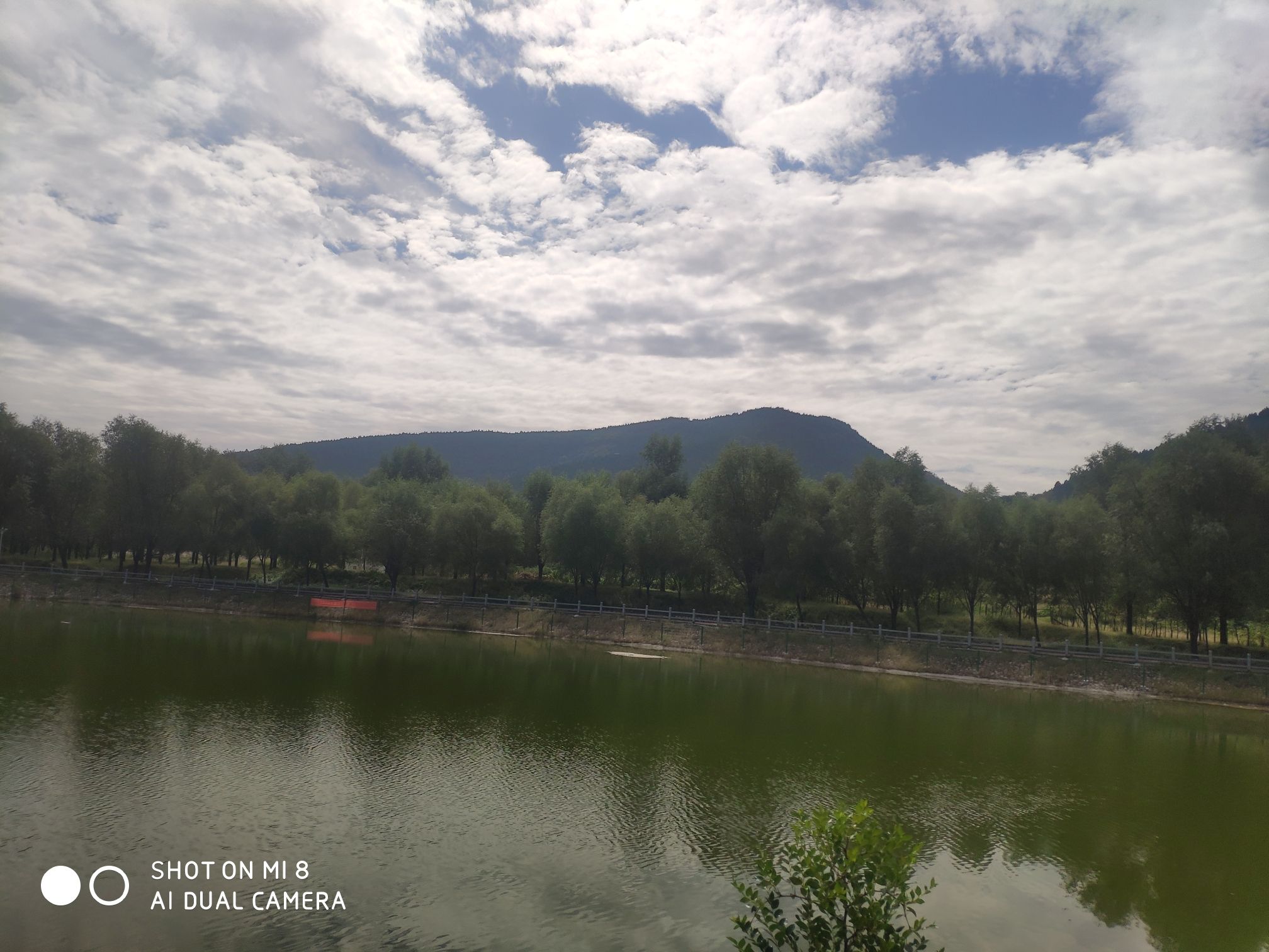 新汶森林公园旅行图片 3