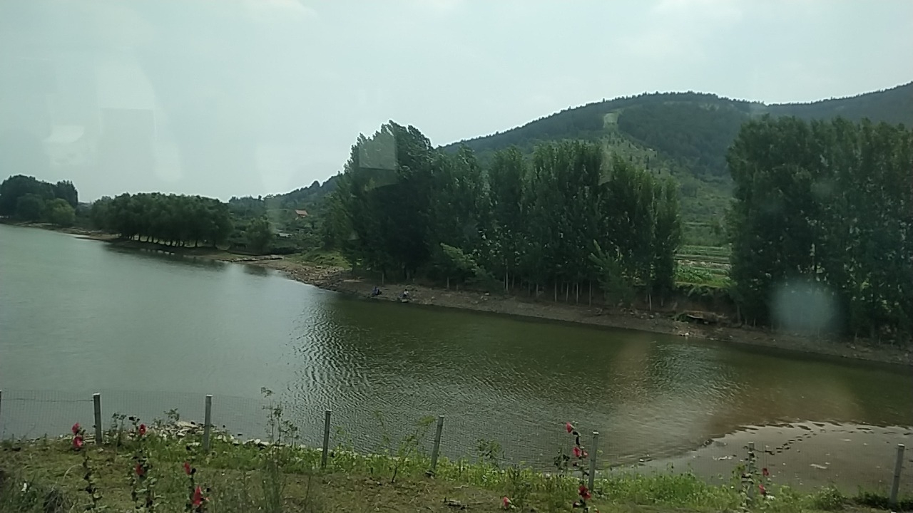新汶森林公园旅行图片 1