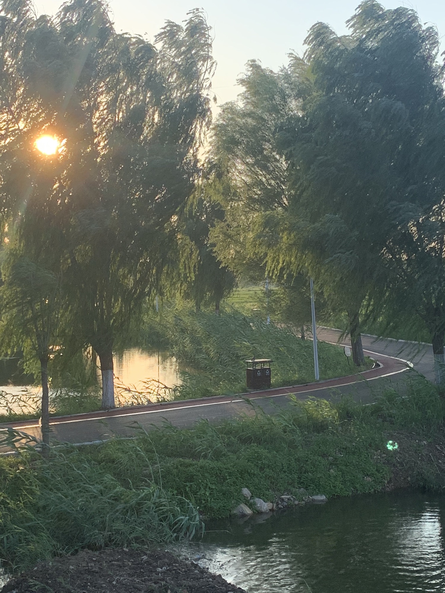 稻屯洼国家城市湿地公园旅行图片 1