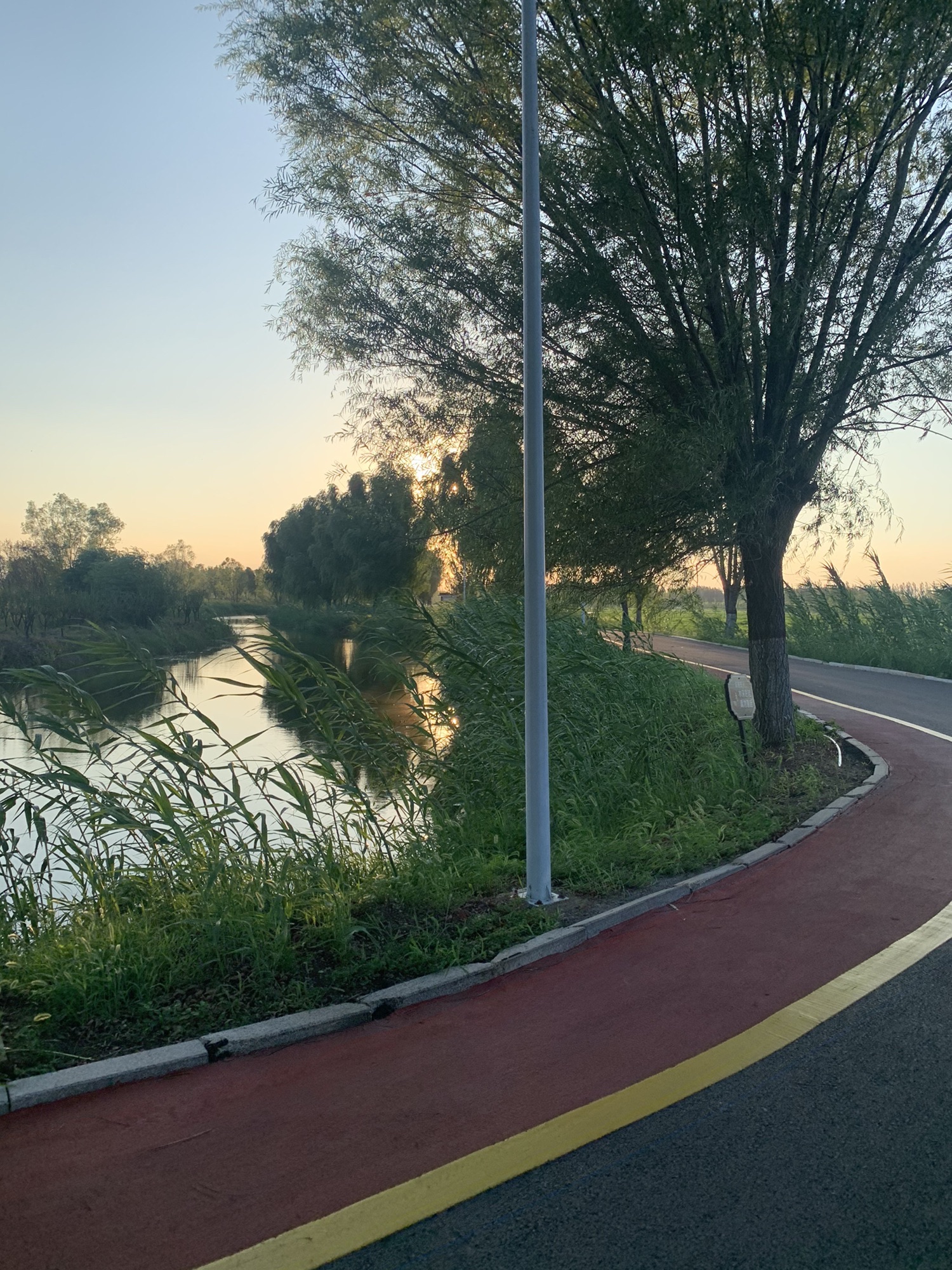 稻屯洼国家城市湿地公园旅行图片 3