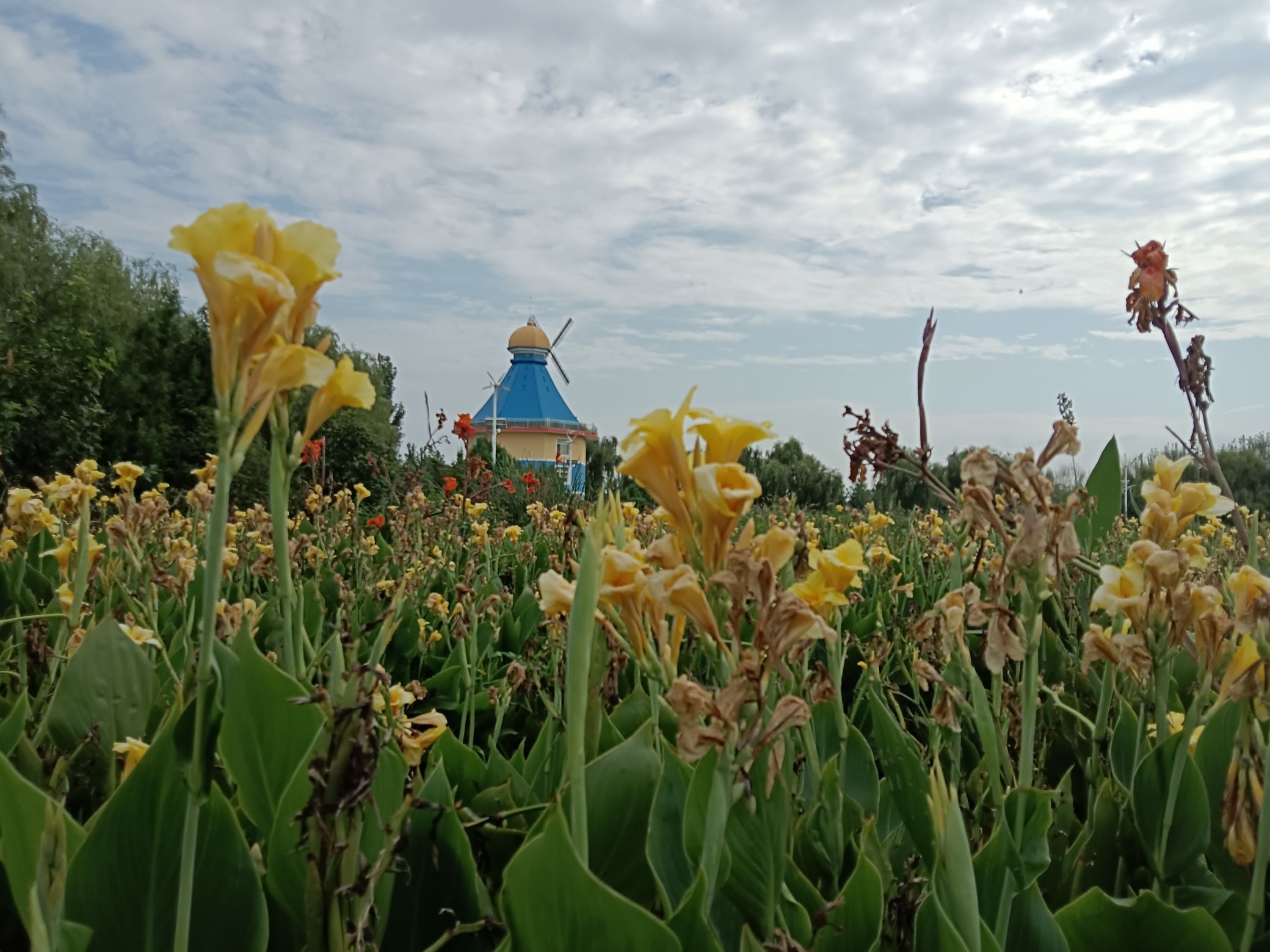 稻屯洼国家城市湿地公园旅行图片 3