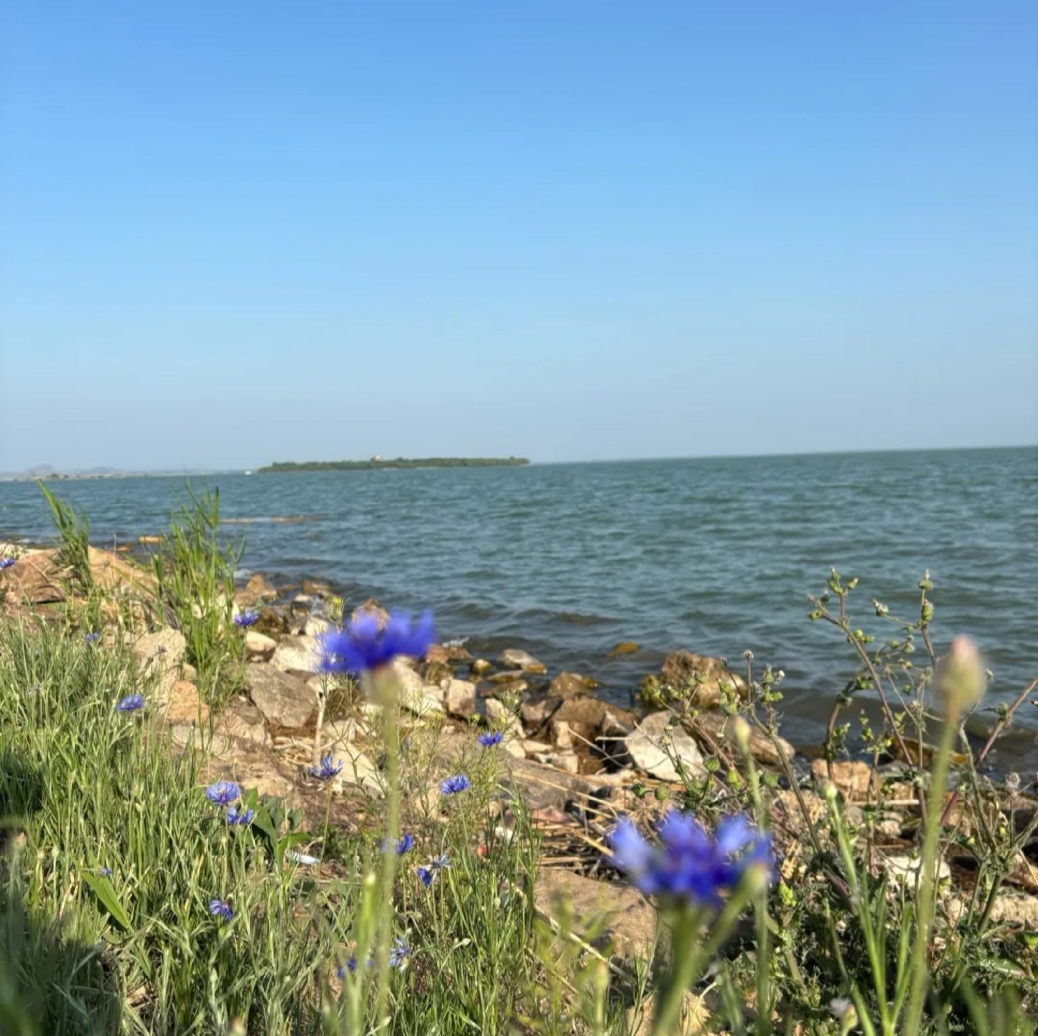 东平湖风景名胜区旅行图片 1