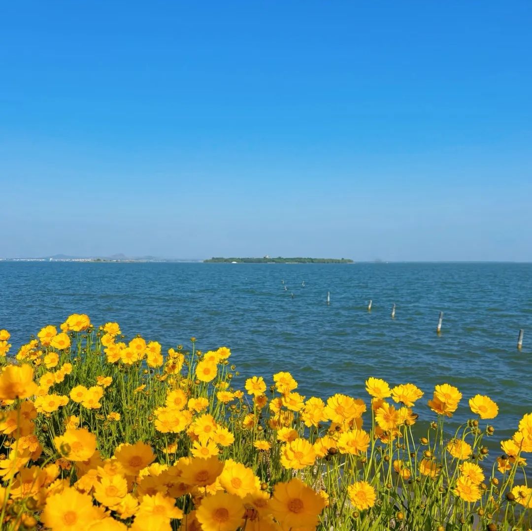 东平湖风景名胜区旅行图片 3