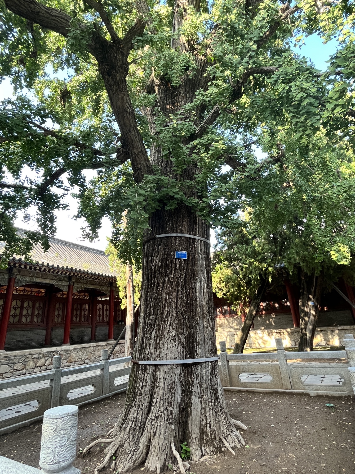 双龙池旅行图片 1