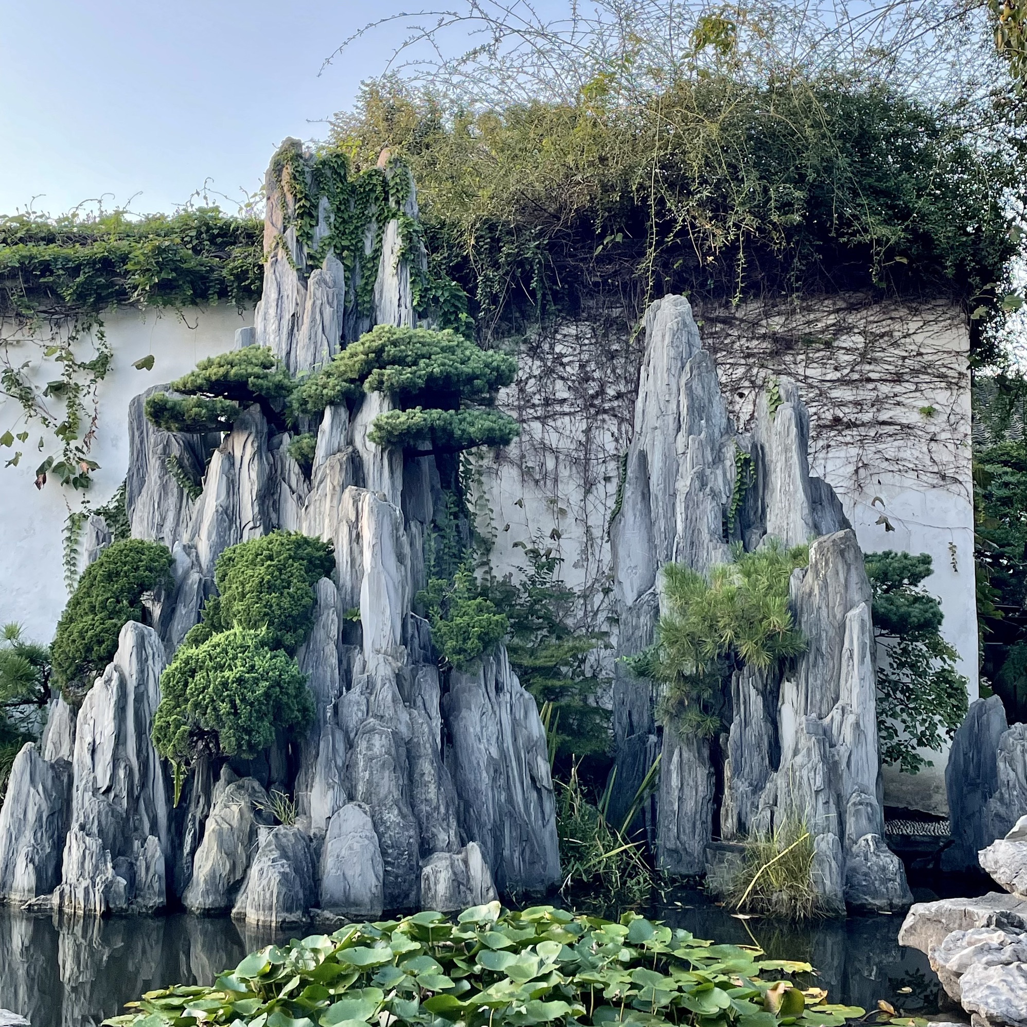 留园旅行图片 3