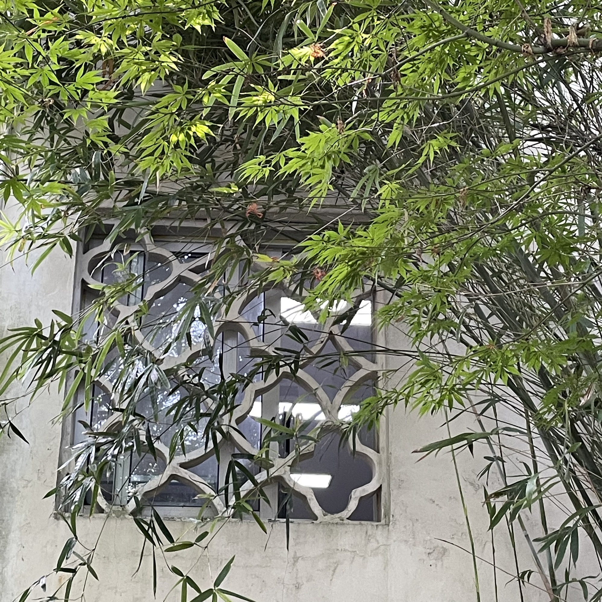 留园旅行图片 2
