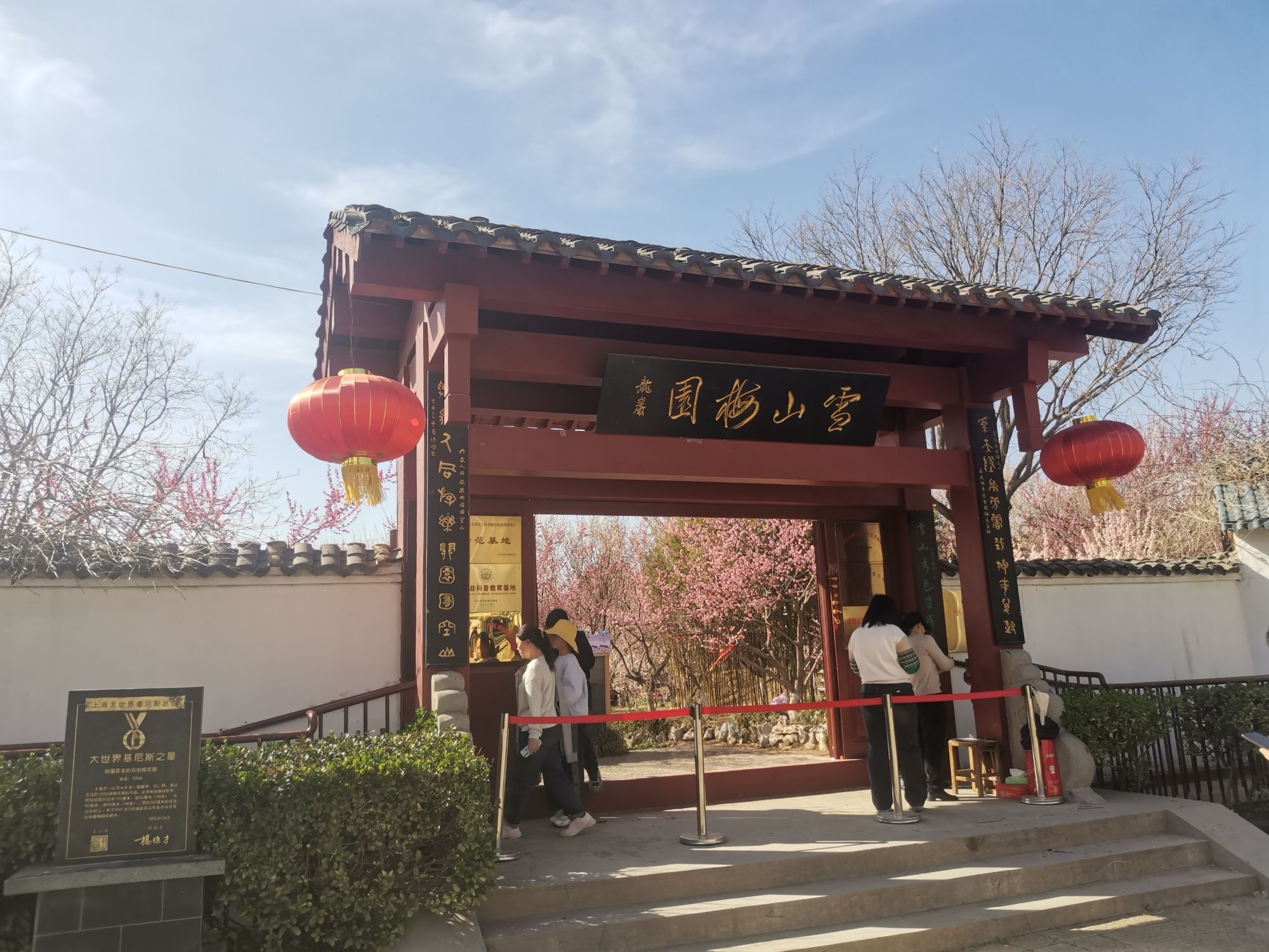 雪山梅园旅行图片 2