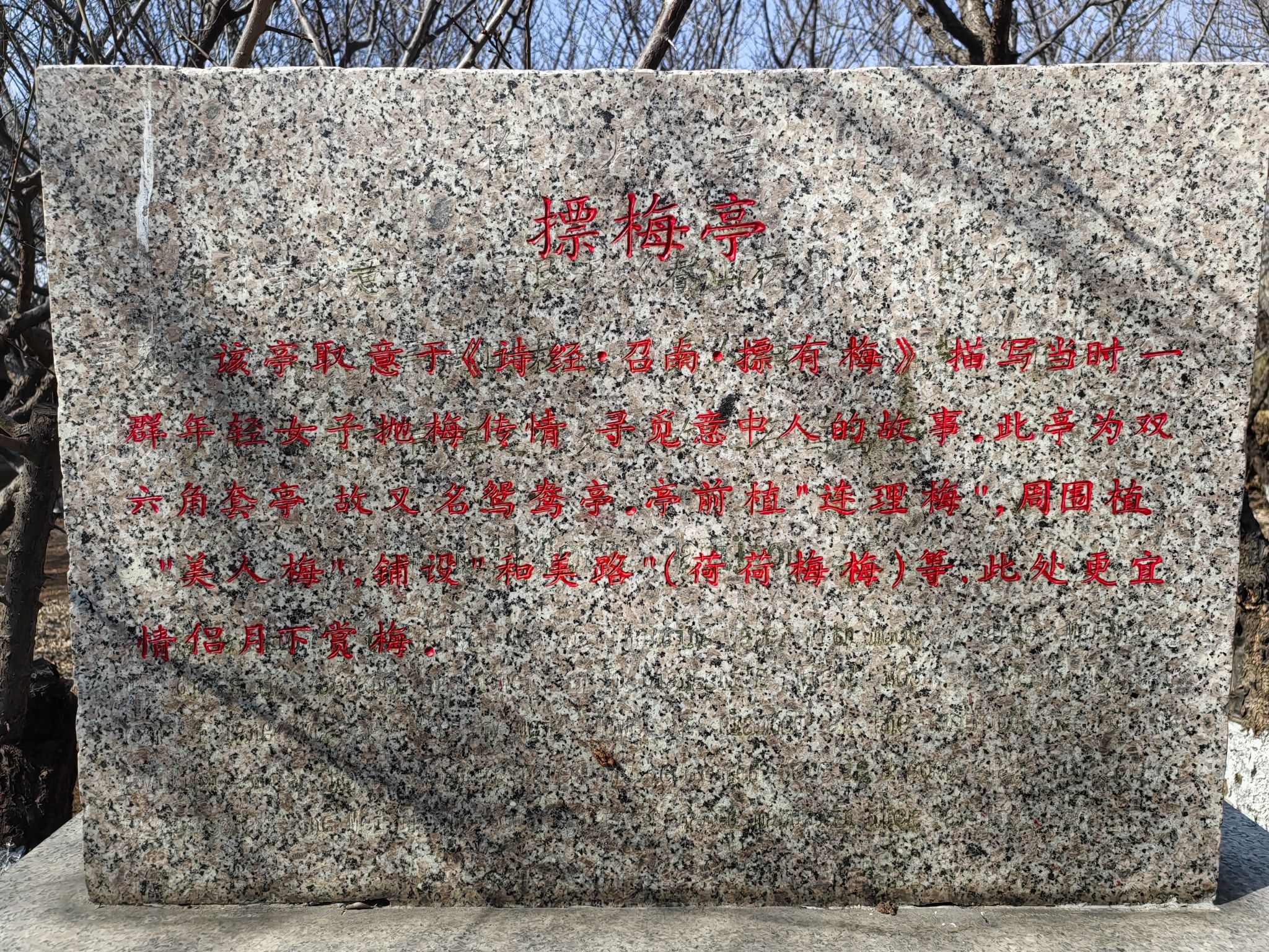 雪山梅园旅行图片 1
