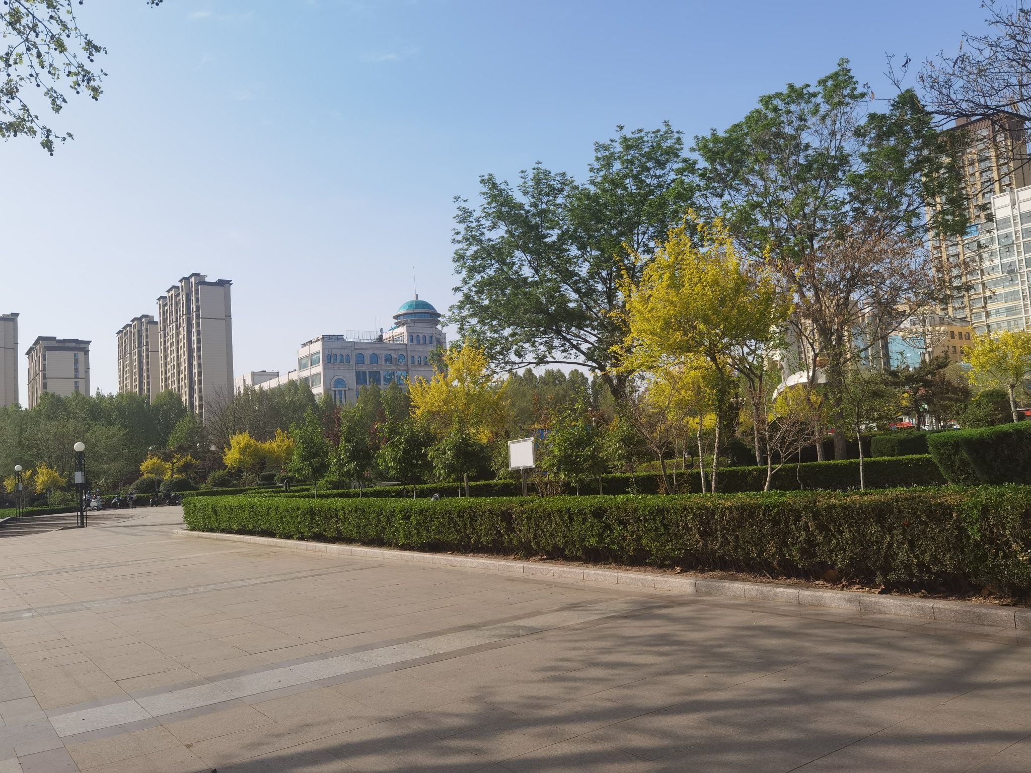 蒙阴广场旅行图片 1