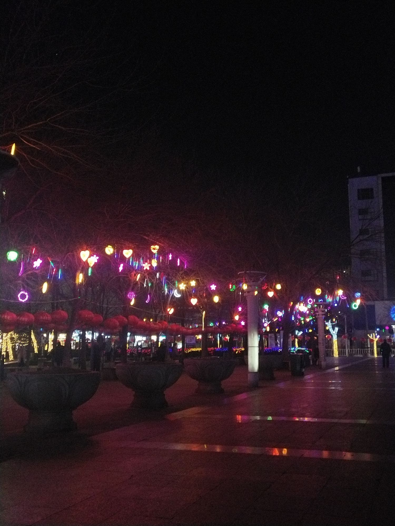 莒南文化广场旅行图片 2