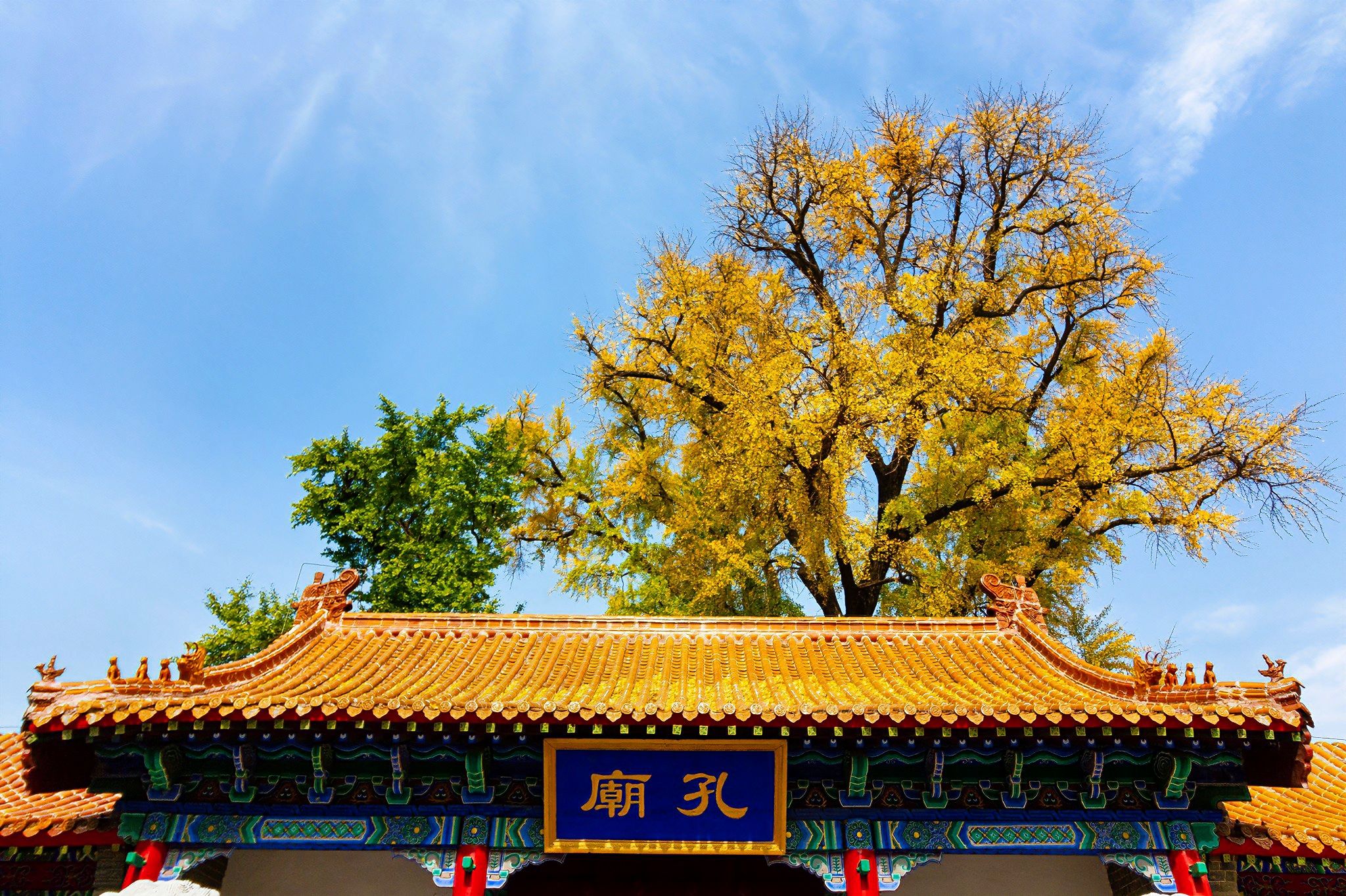 孔庙旅行图片 3