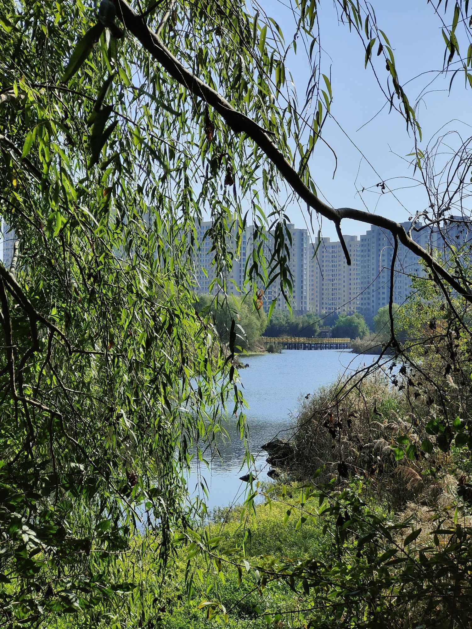 红石湖公园旅行图片 3