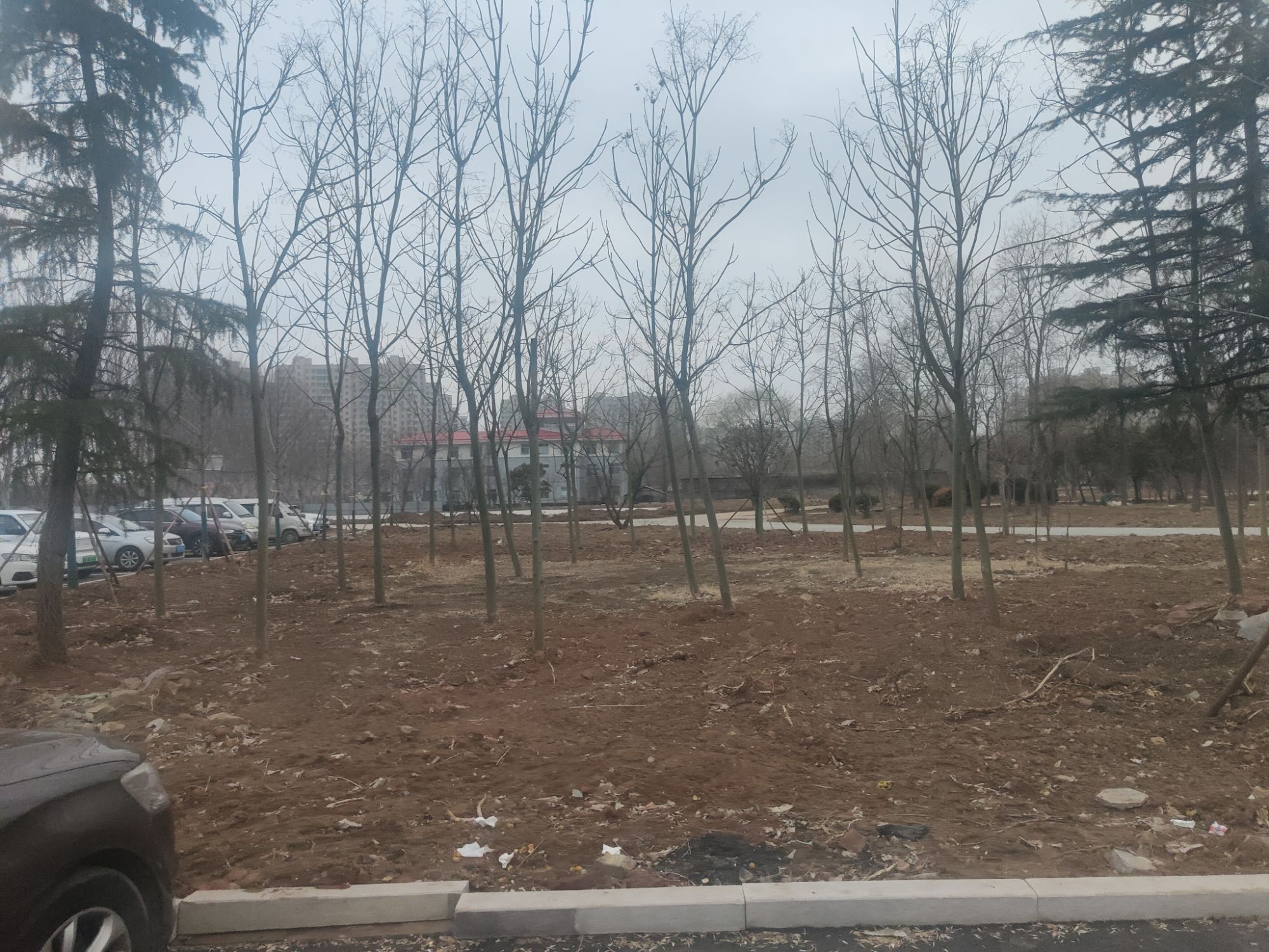 红石湖公园旅行图片 1