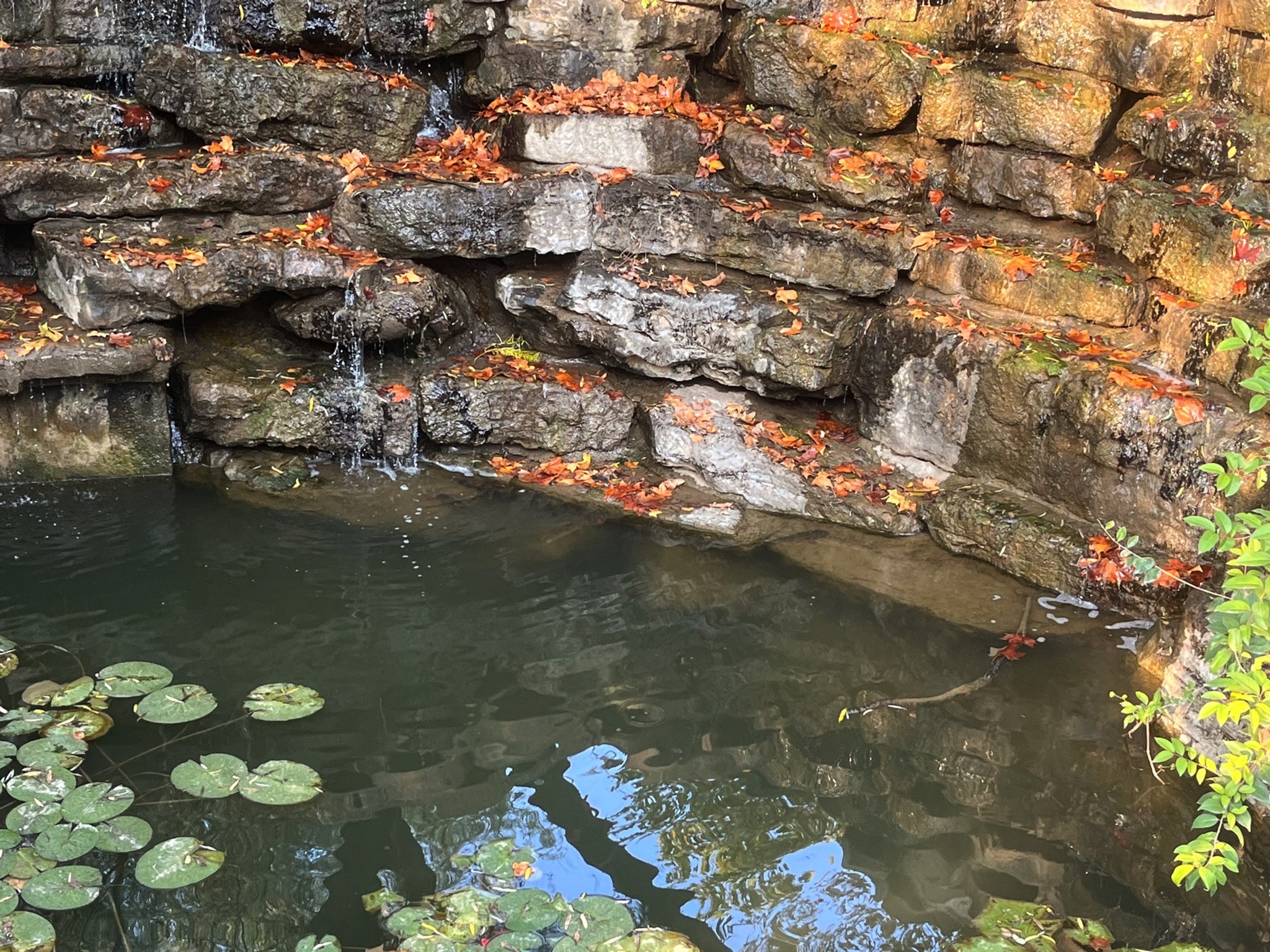 宝泉胜境旅游度假区旅行图片 1