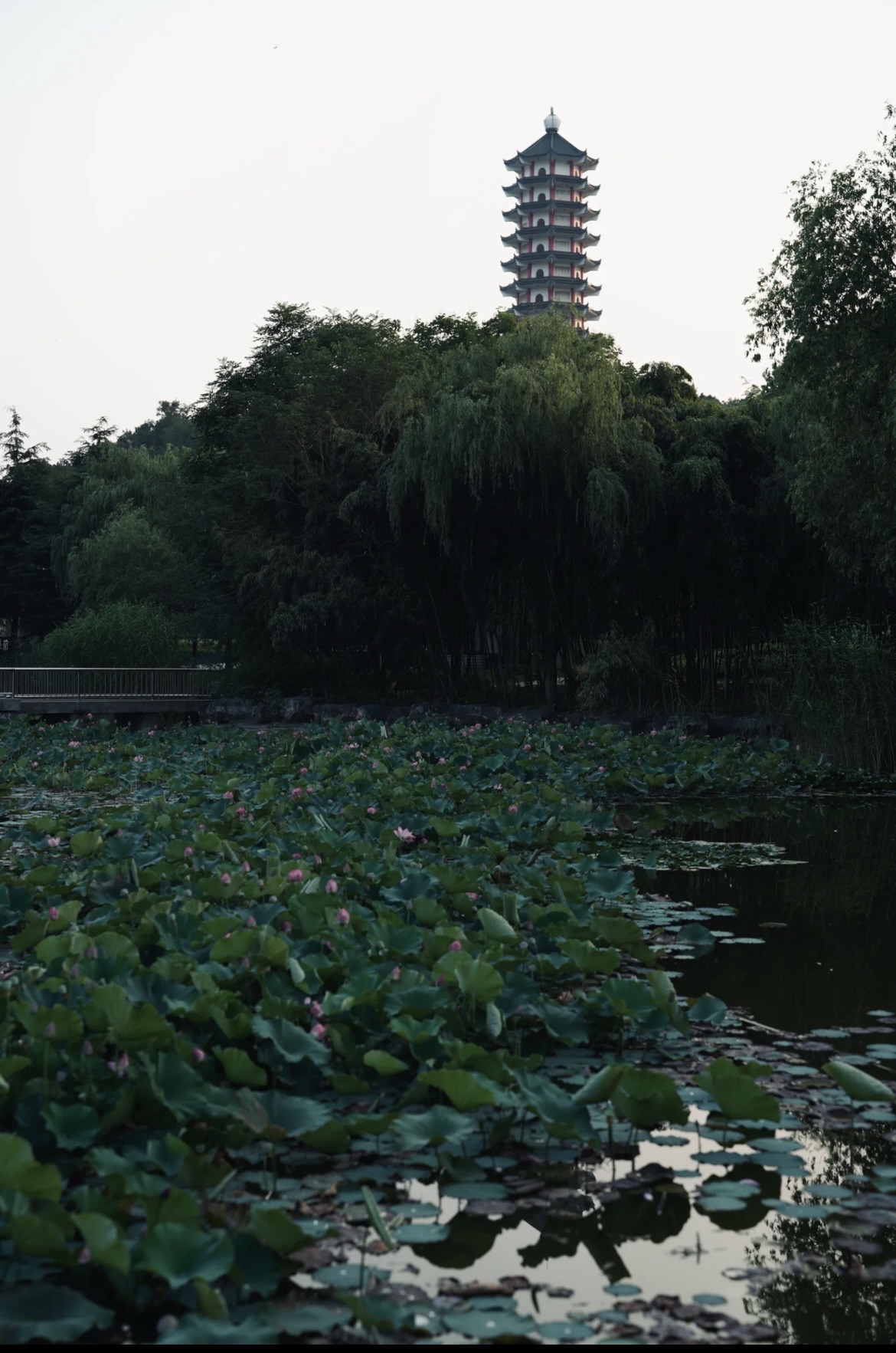 塔山公园旅行图片 3