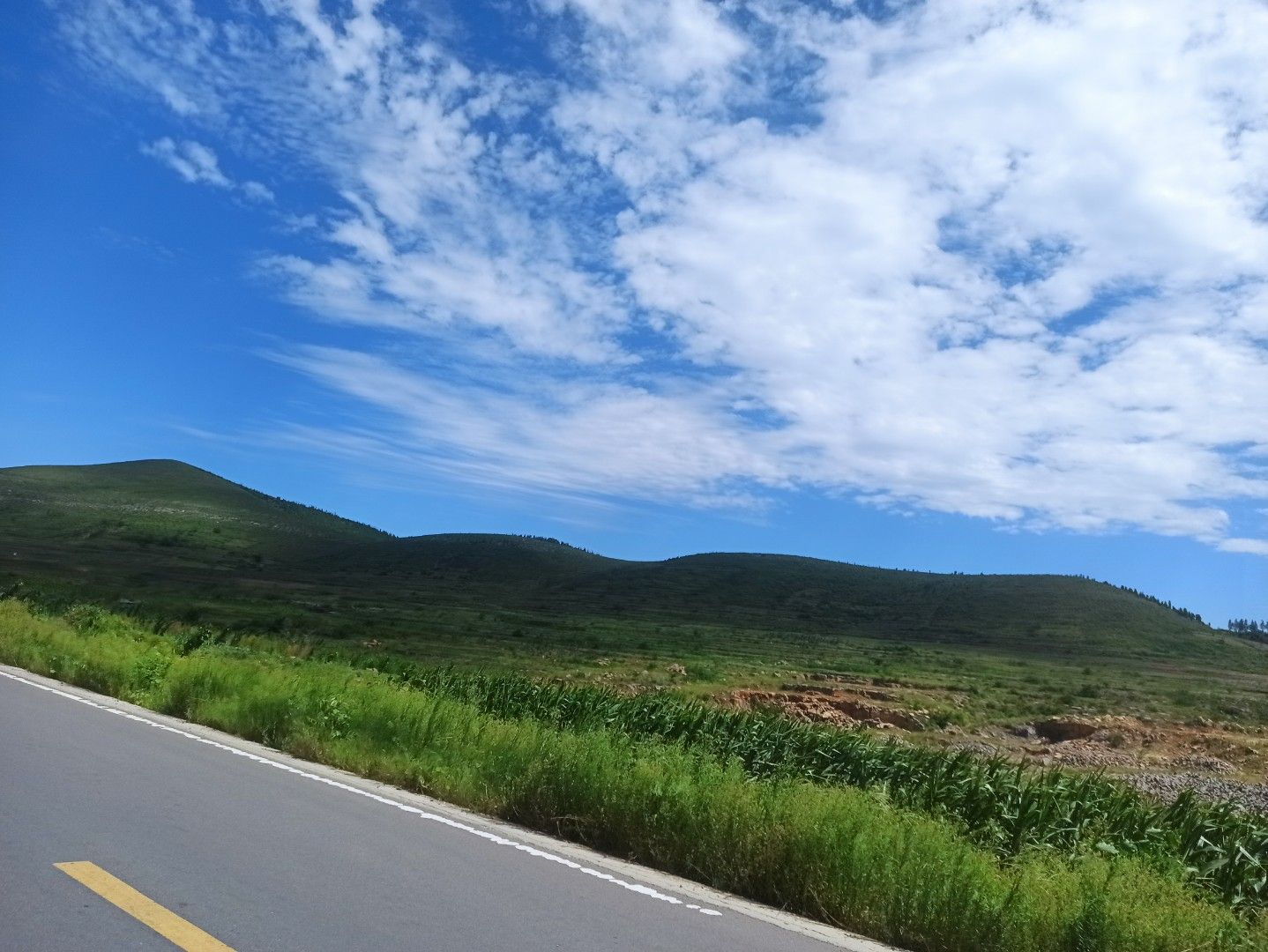 塔山公园旅行图片 3