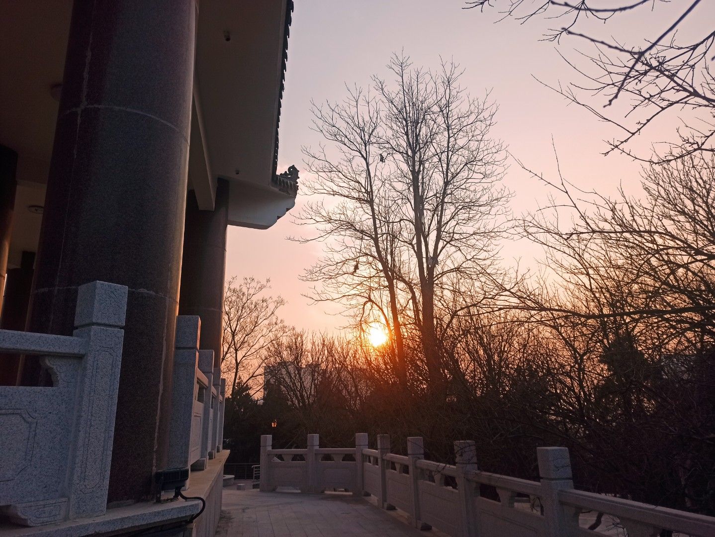 塔山公园旅行图片 1