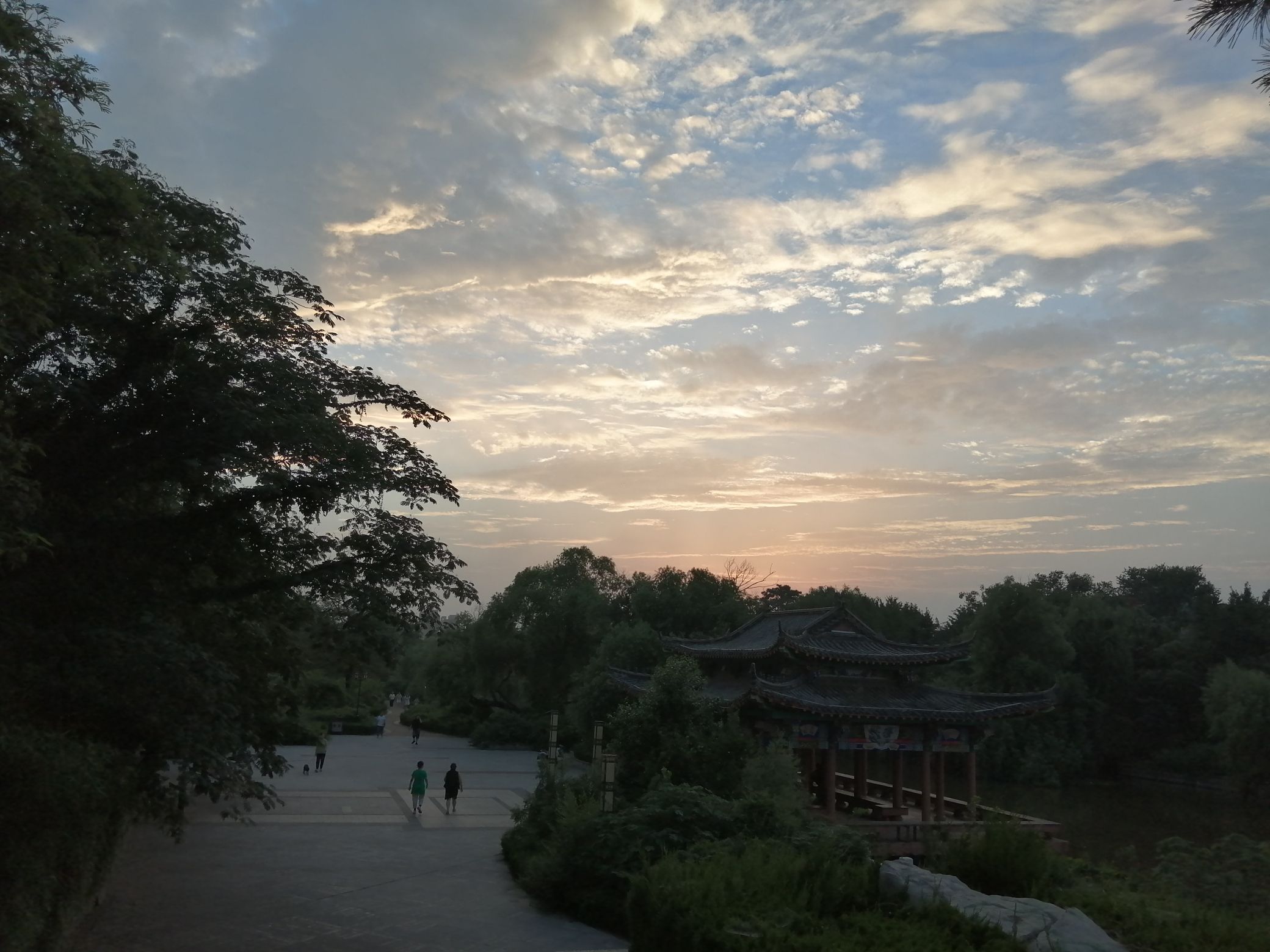 郯子公园旅行图片 1