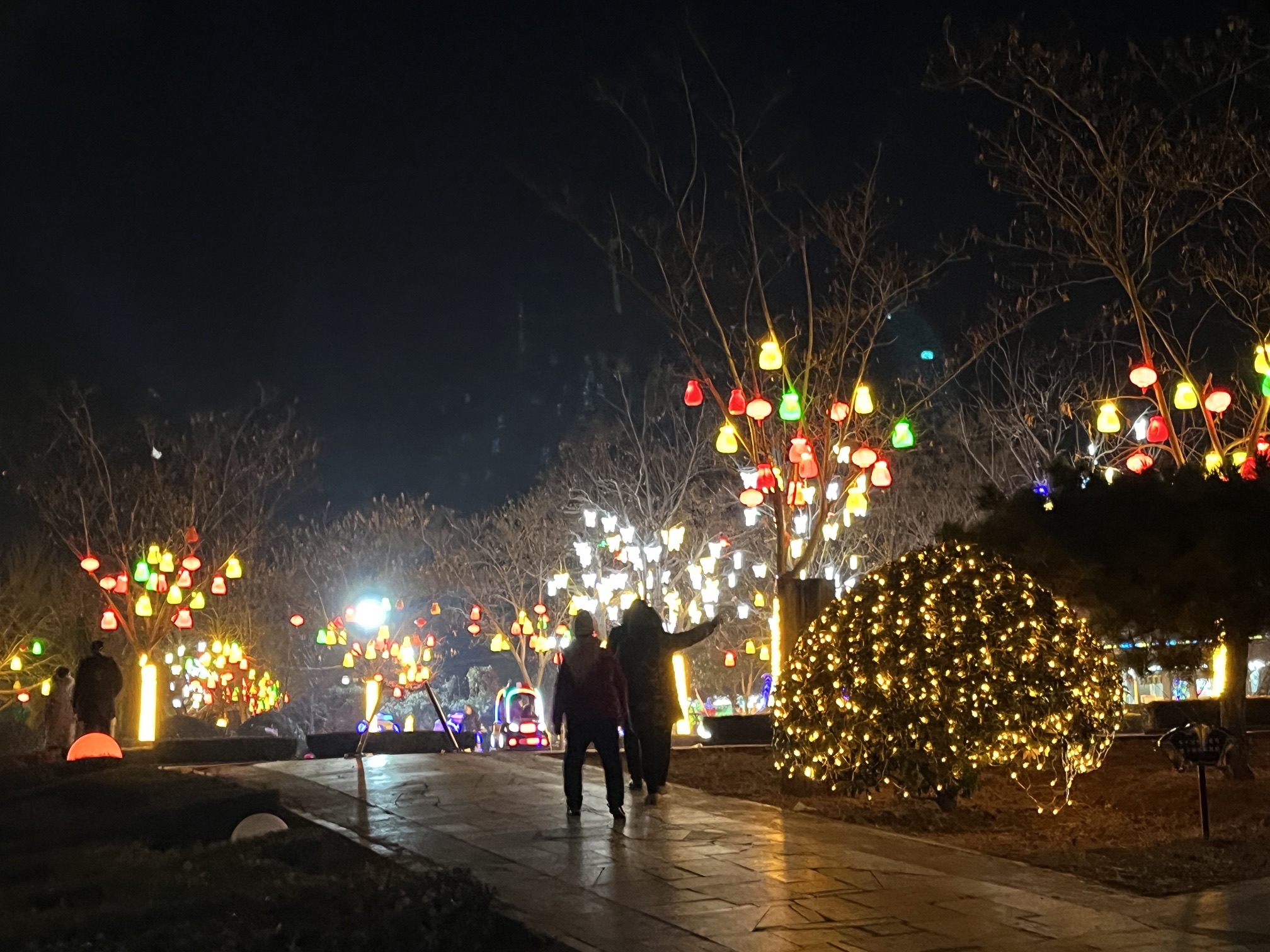 郯子公园旅行图片 3