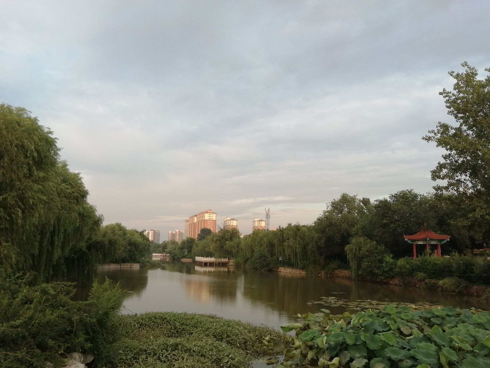 郯子公园旅行图片 3