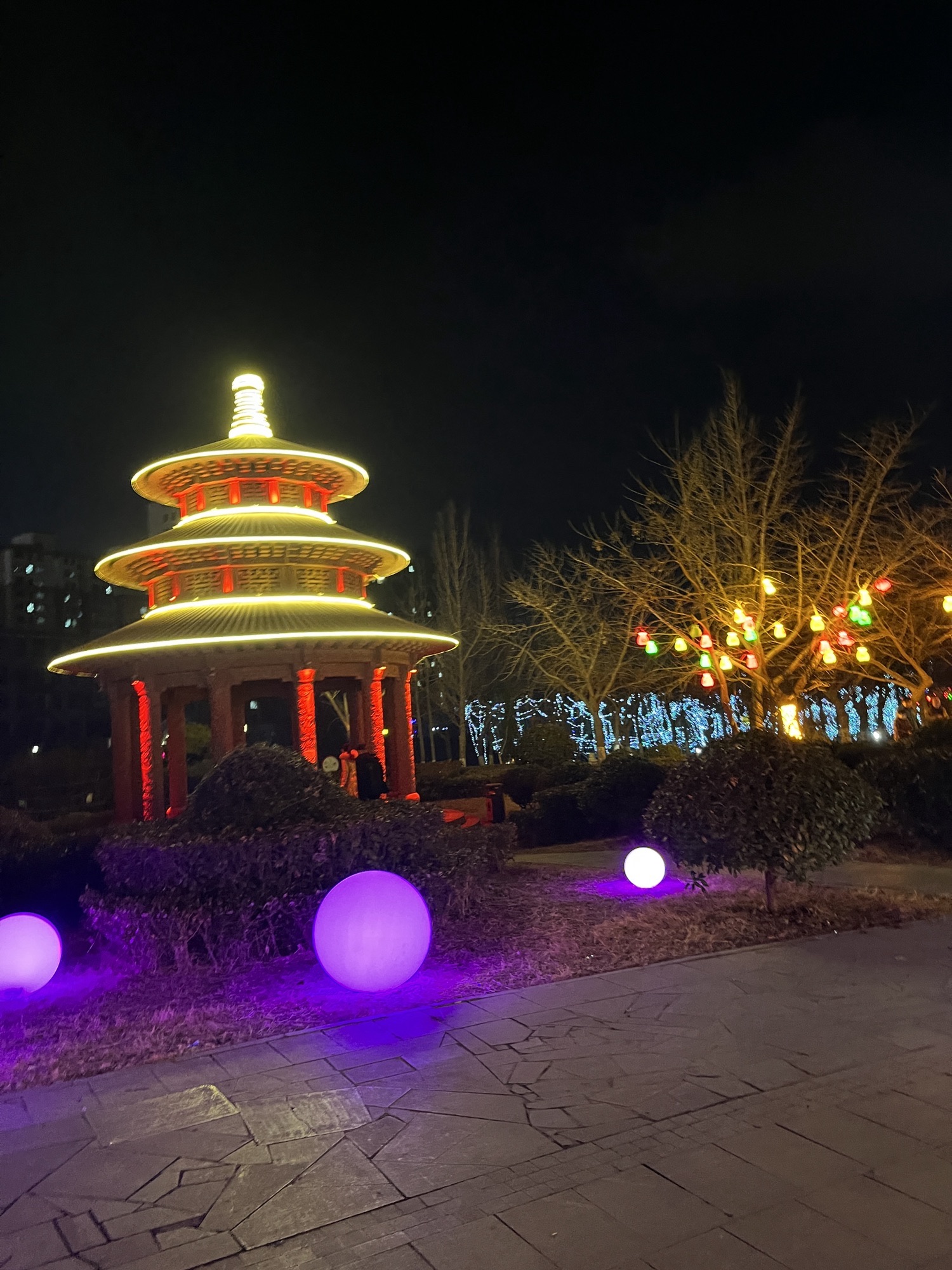 郯子公园旅行图片 1