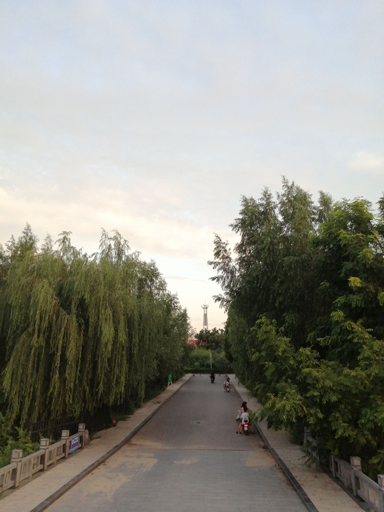郯子公园旅行图片 2