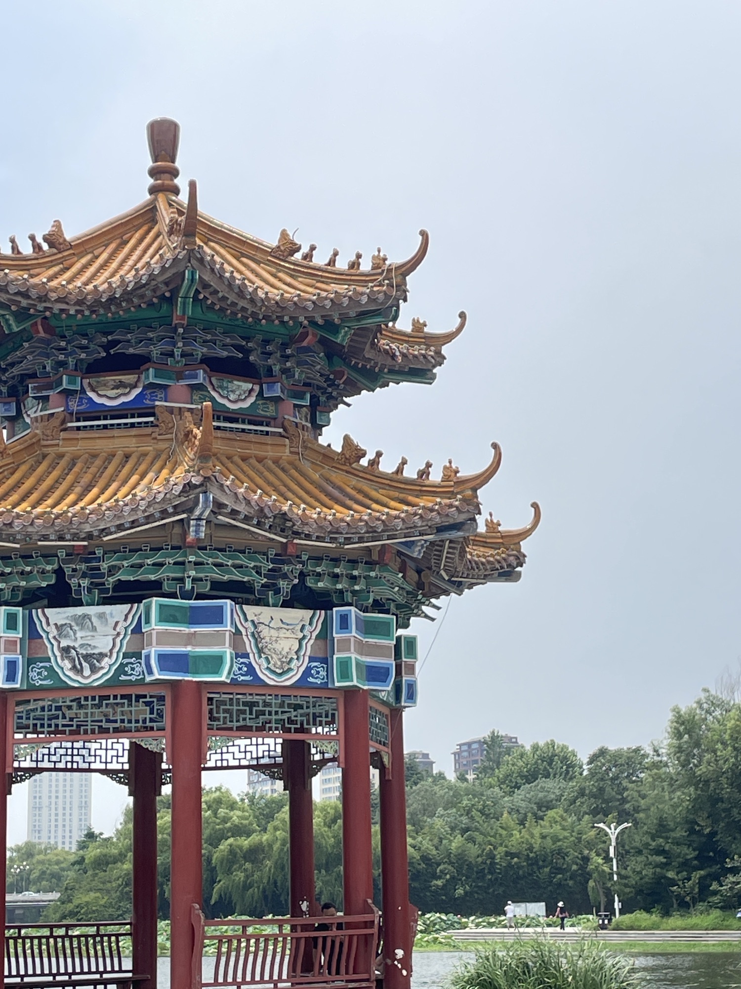 沂河公园旅行图片 3